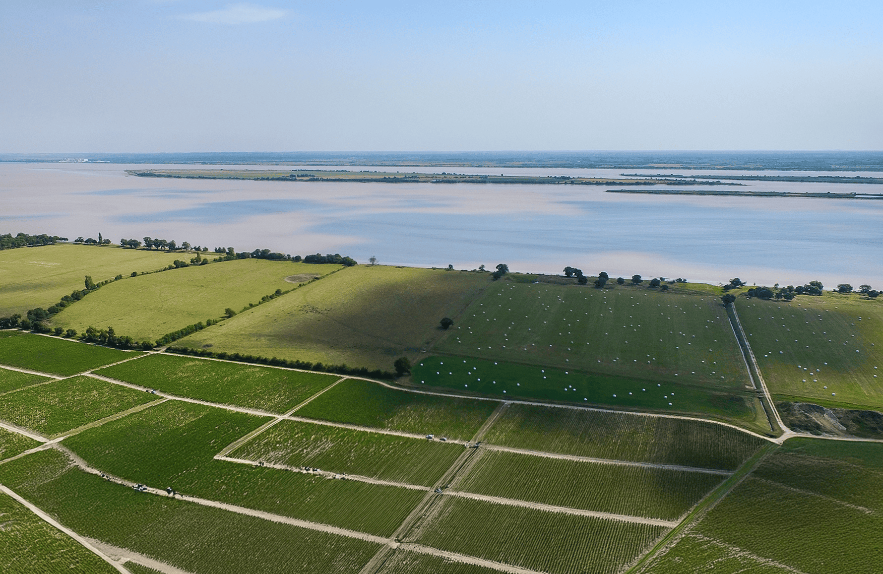Château Léoville Las Cases