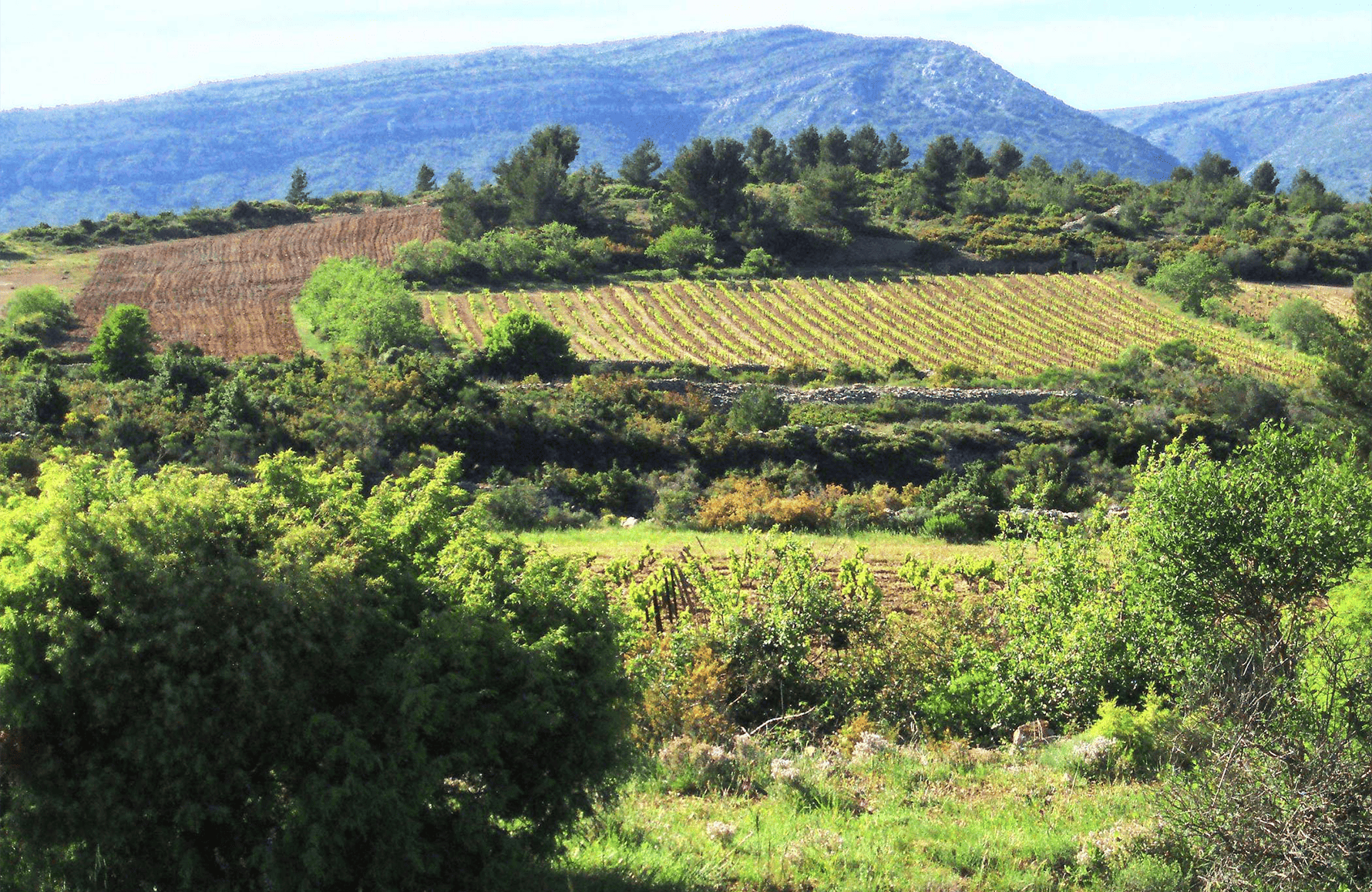 Clos de l'Anhel