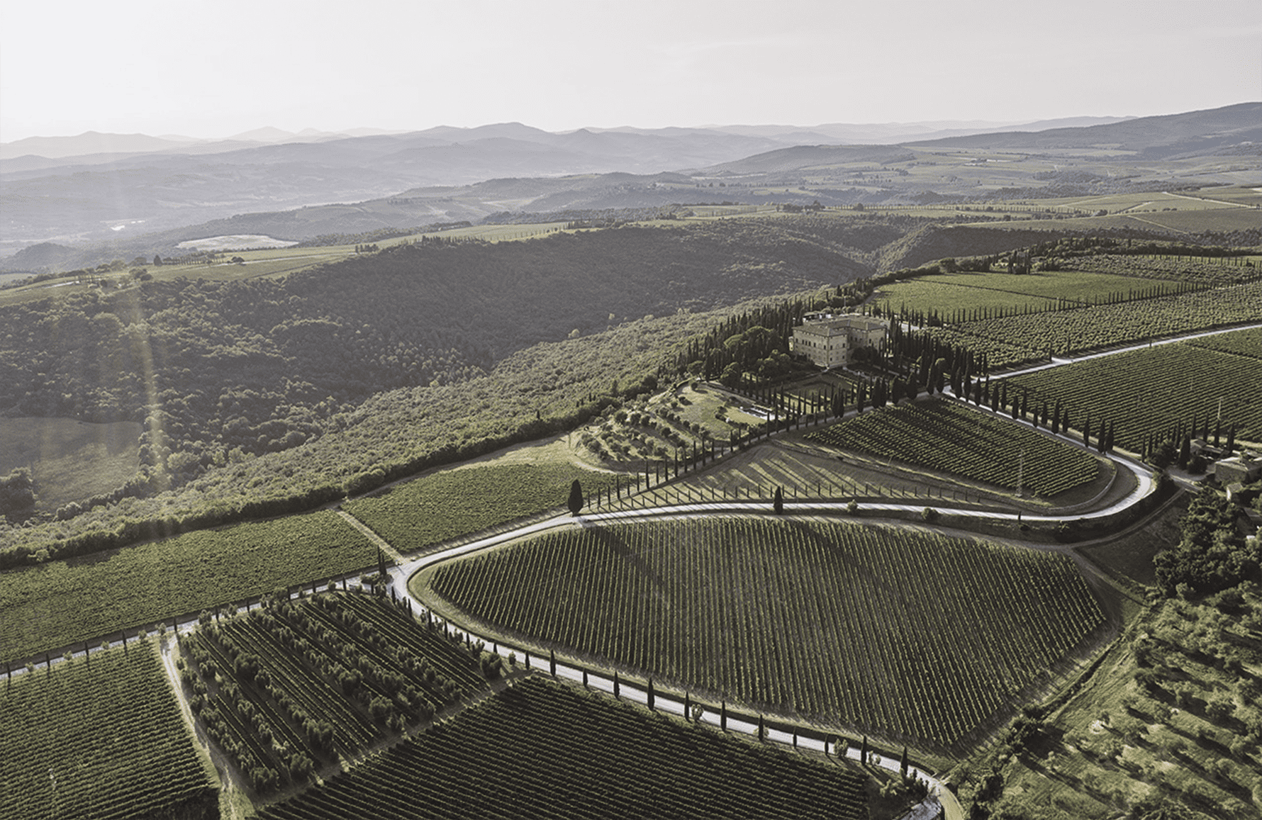 Weine Argiano - Italien