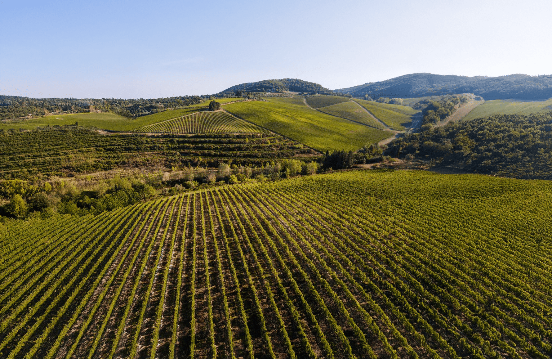 the story of Antinori - Italy