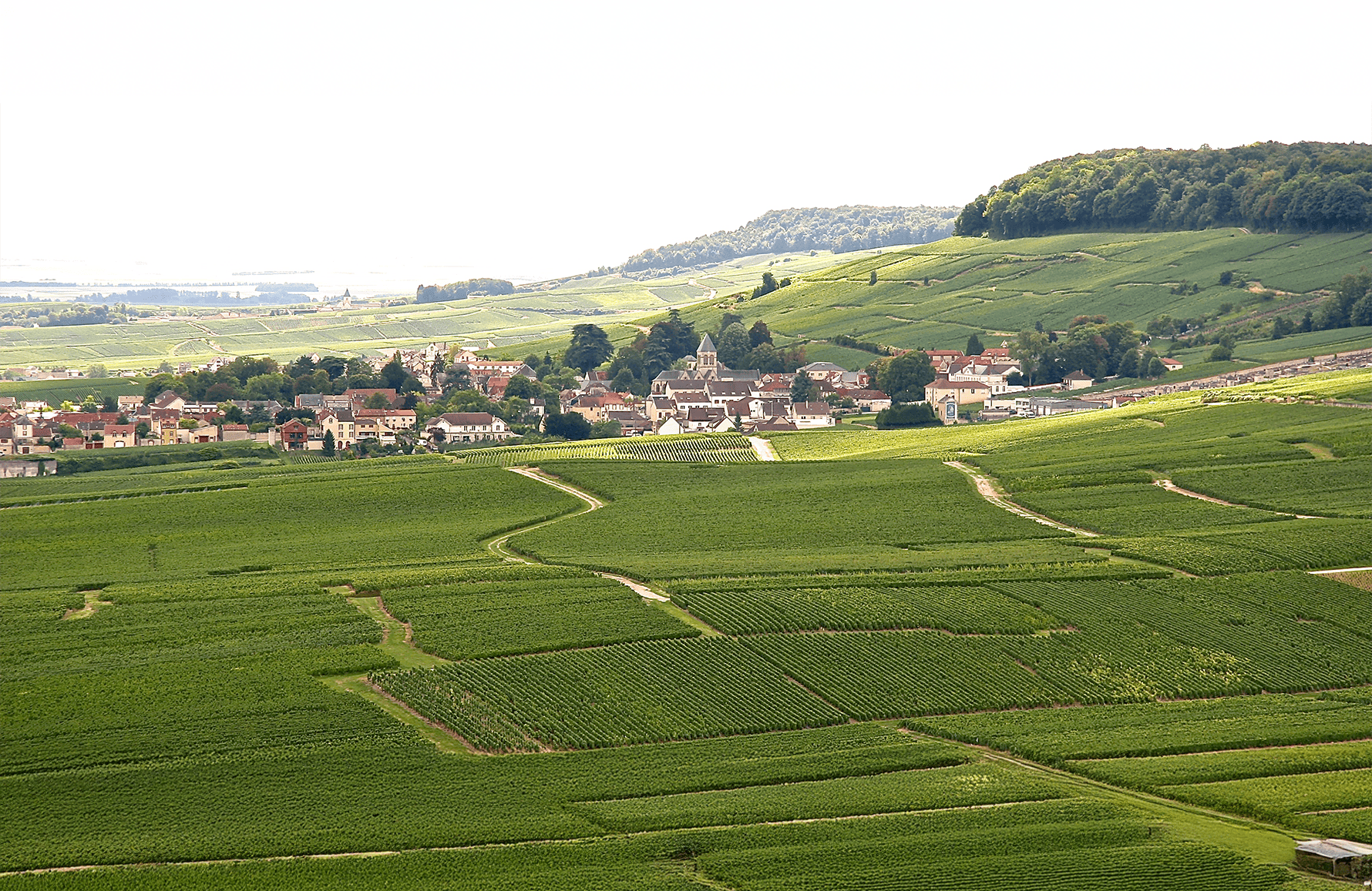 Weine Champagner De Sousa