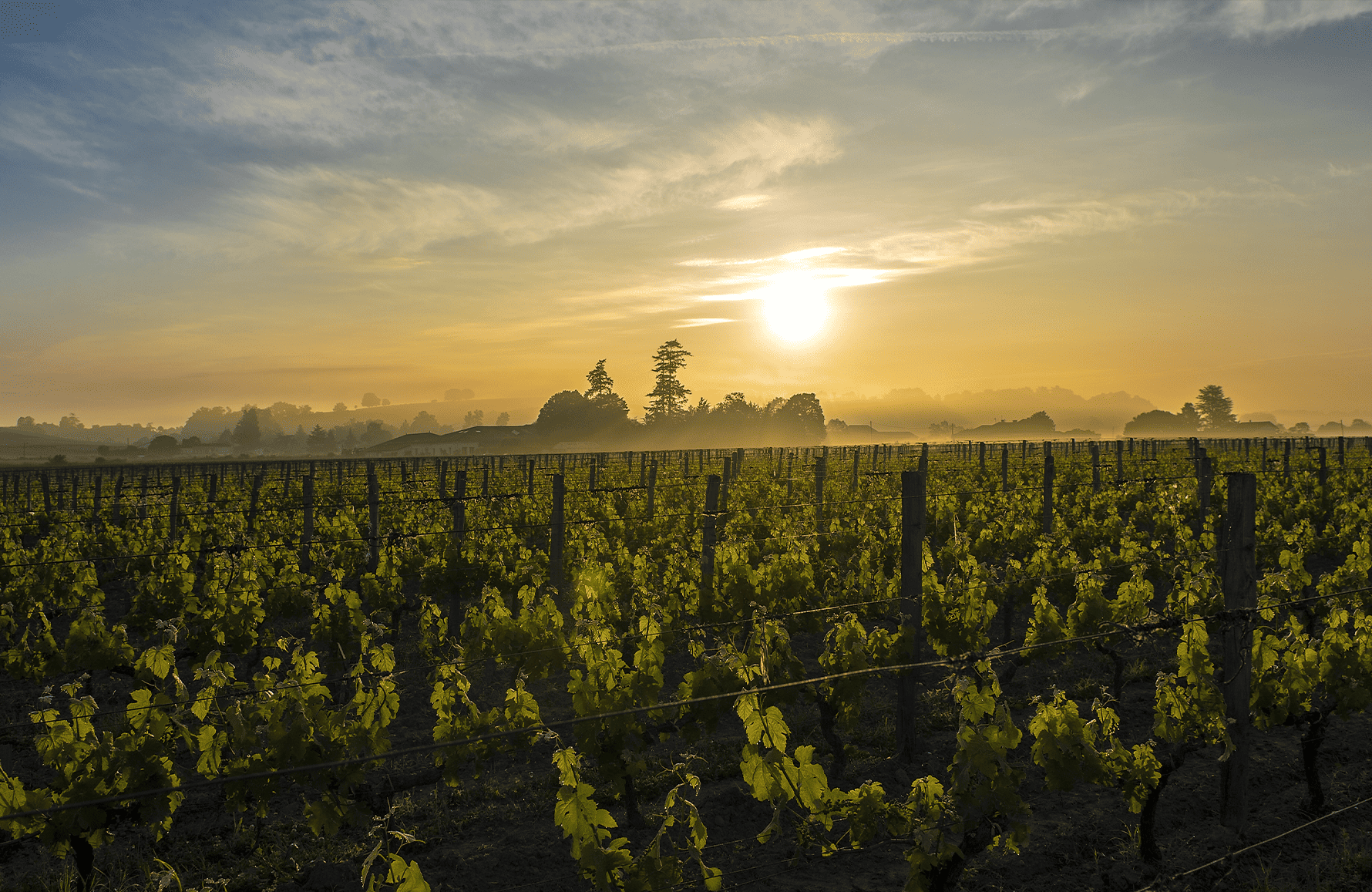 the story of Schloss Canon La Gaffelière