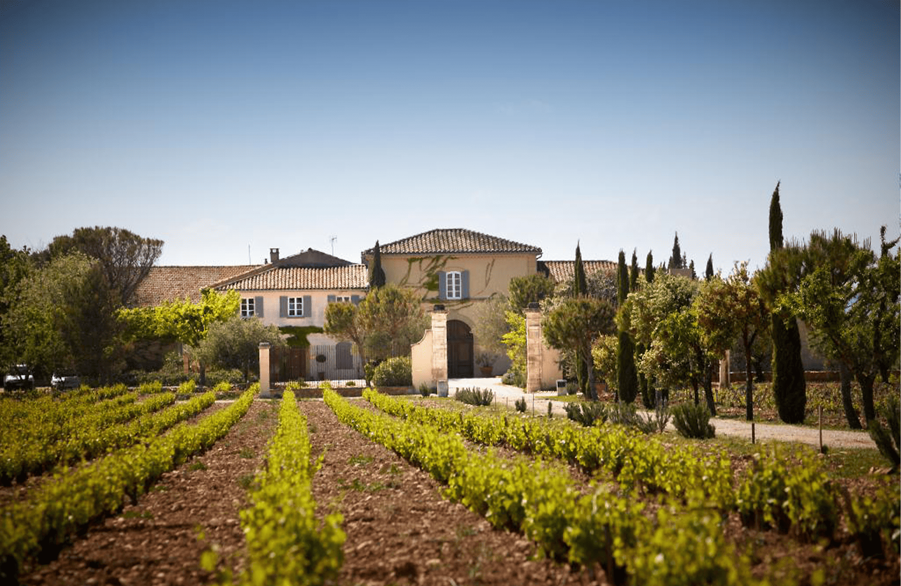Weine Schloss Beaucastel