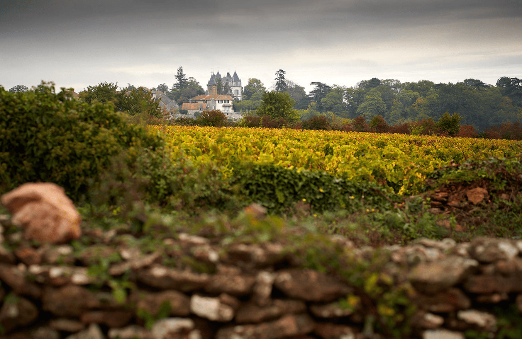 Wines Chamirey Castle