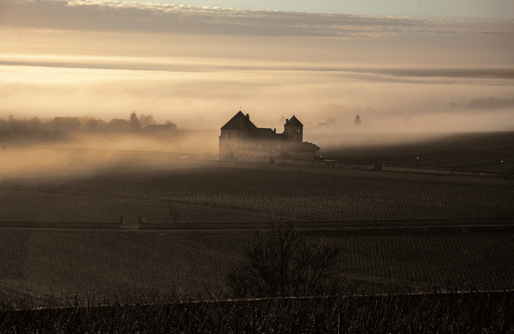 l’histoire du Château De La Tour