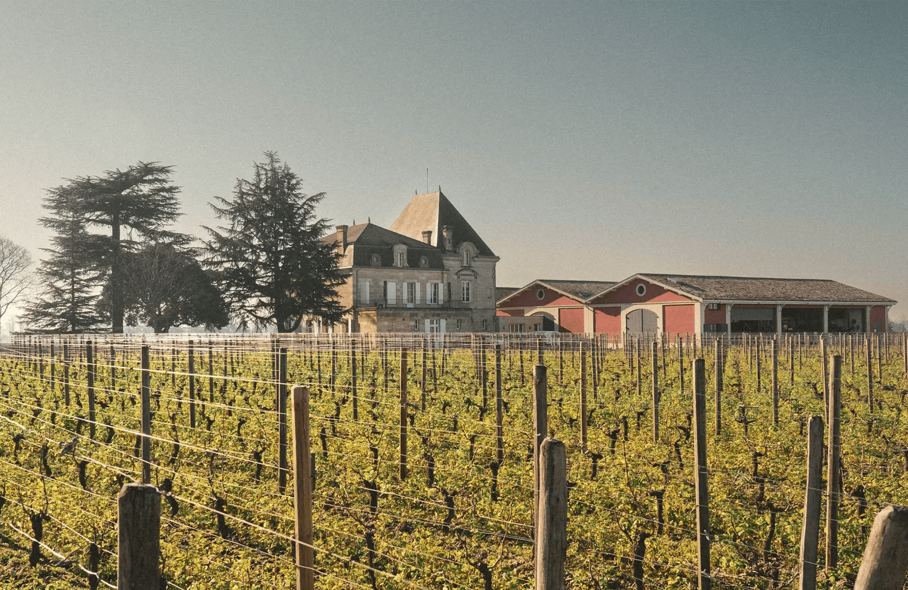 Wines Schloss Gospel