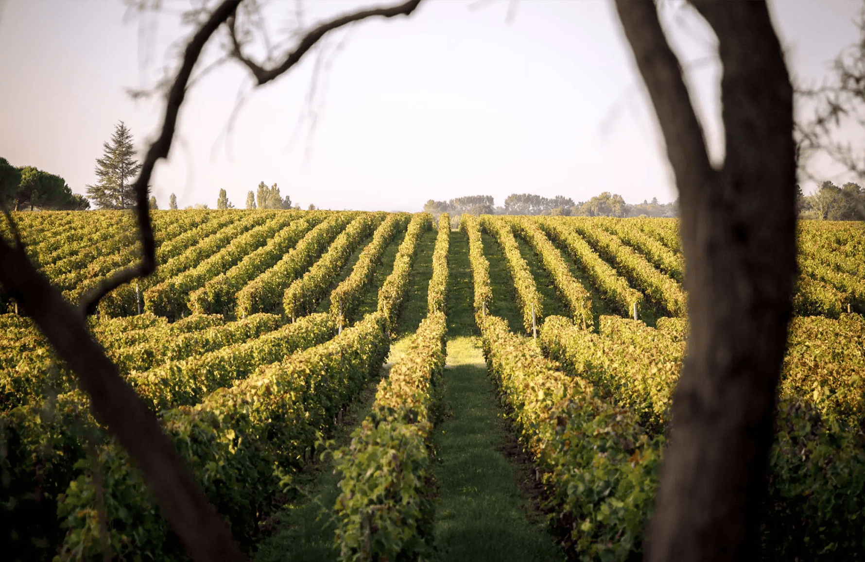 Vins Château Duhart-Milon