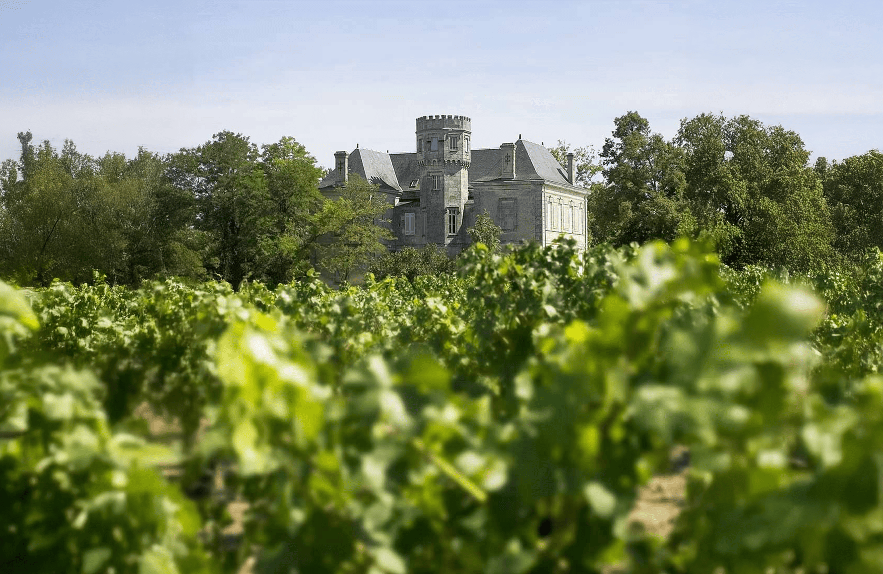 Weine Schloss La Gurgue