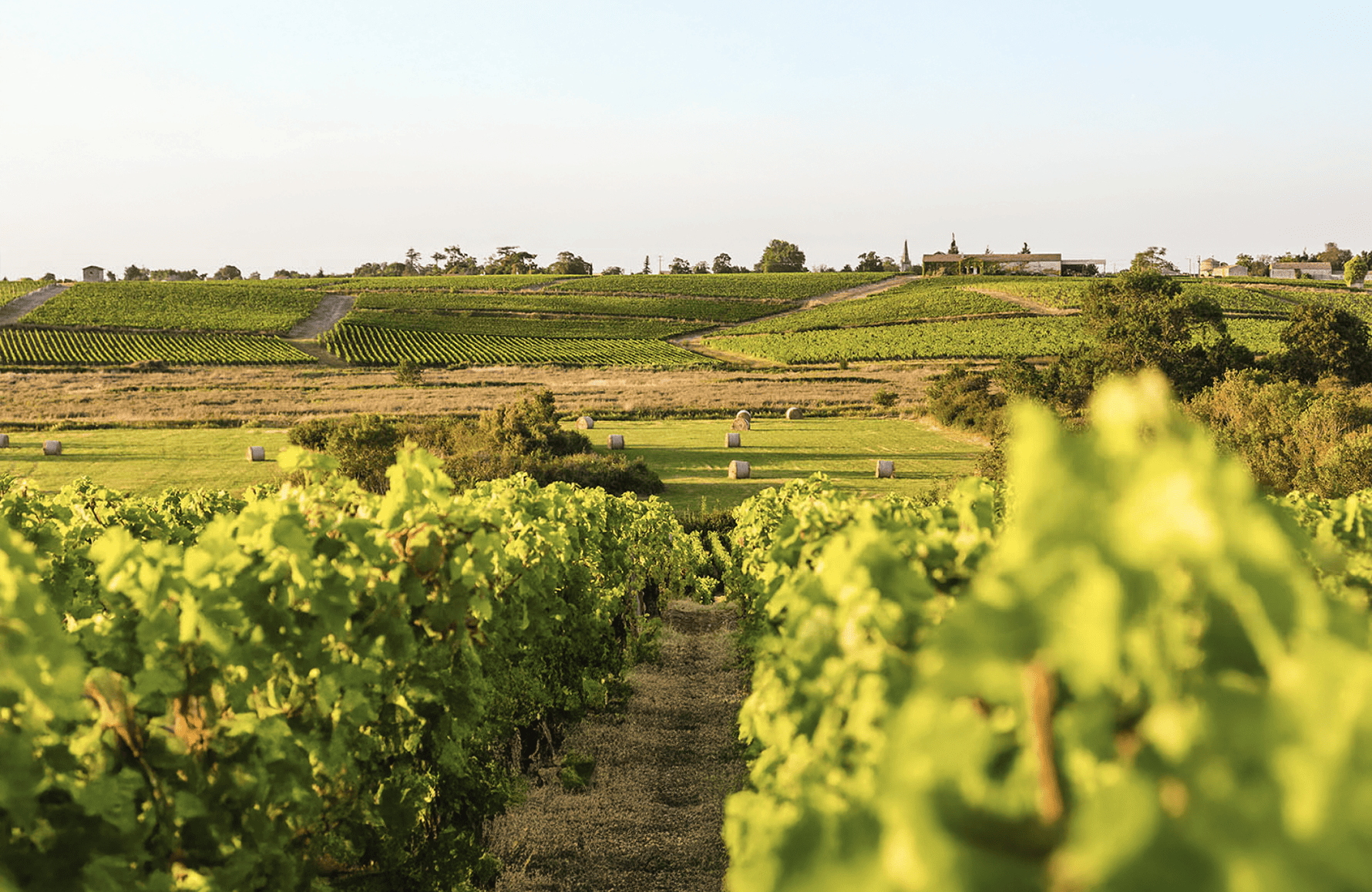 Weine Schloss Ormes de Pez