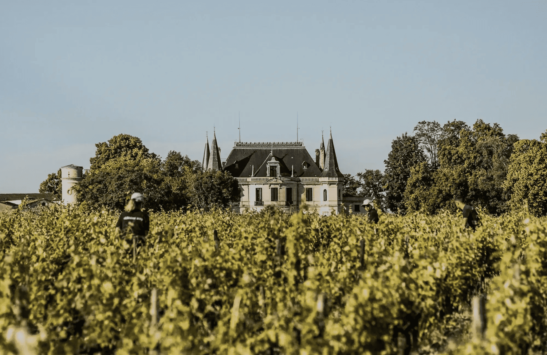 Weine Palmer Schloss