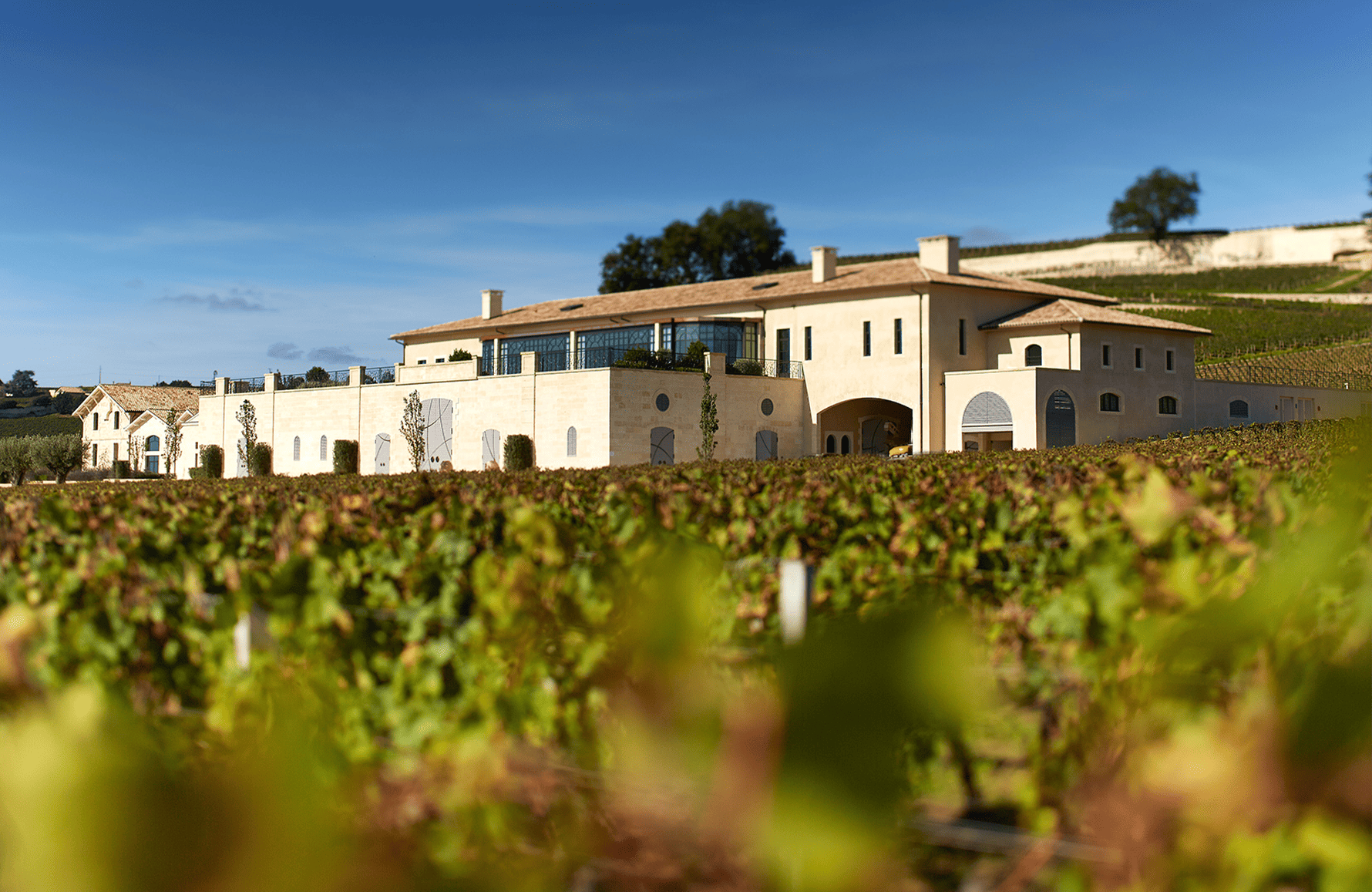 Weine Schloss Pavie Decesse