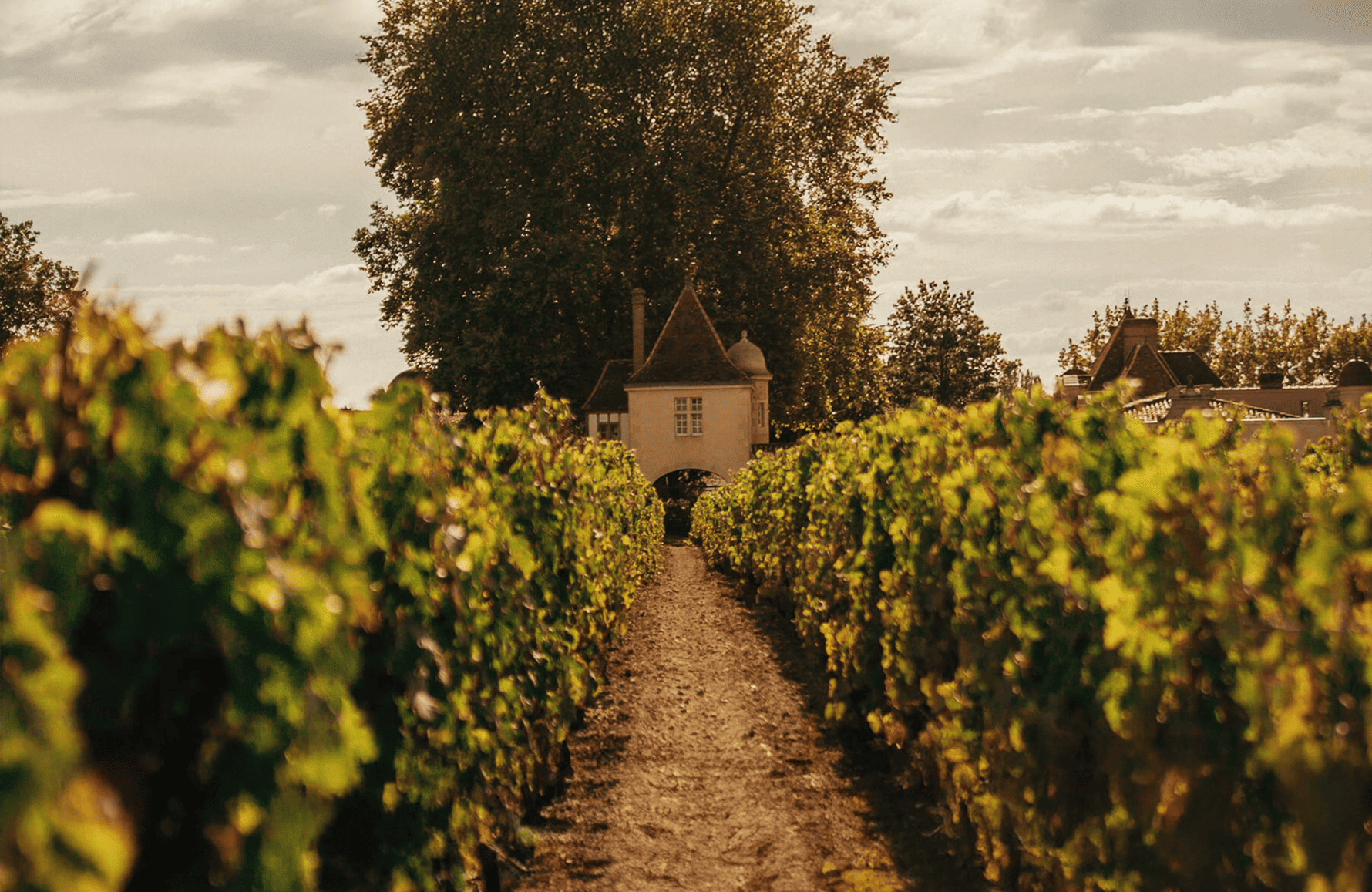 Weine Schloss Rauzan-Ségla