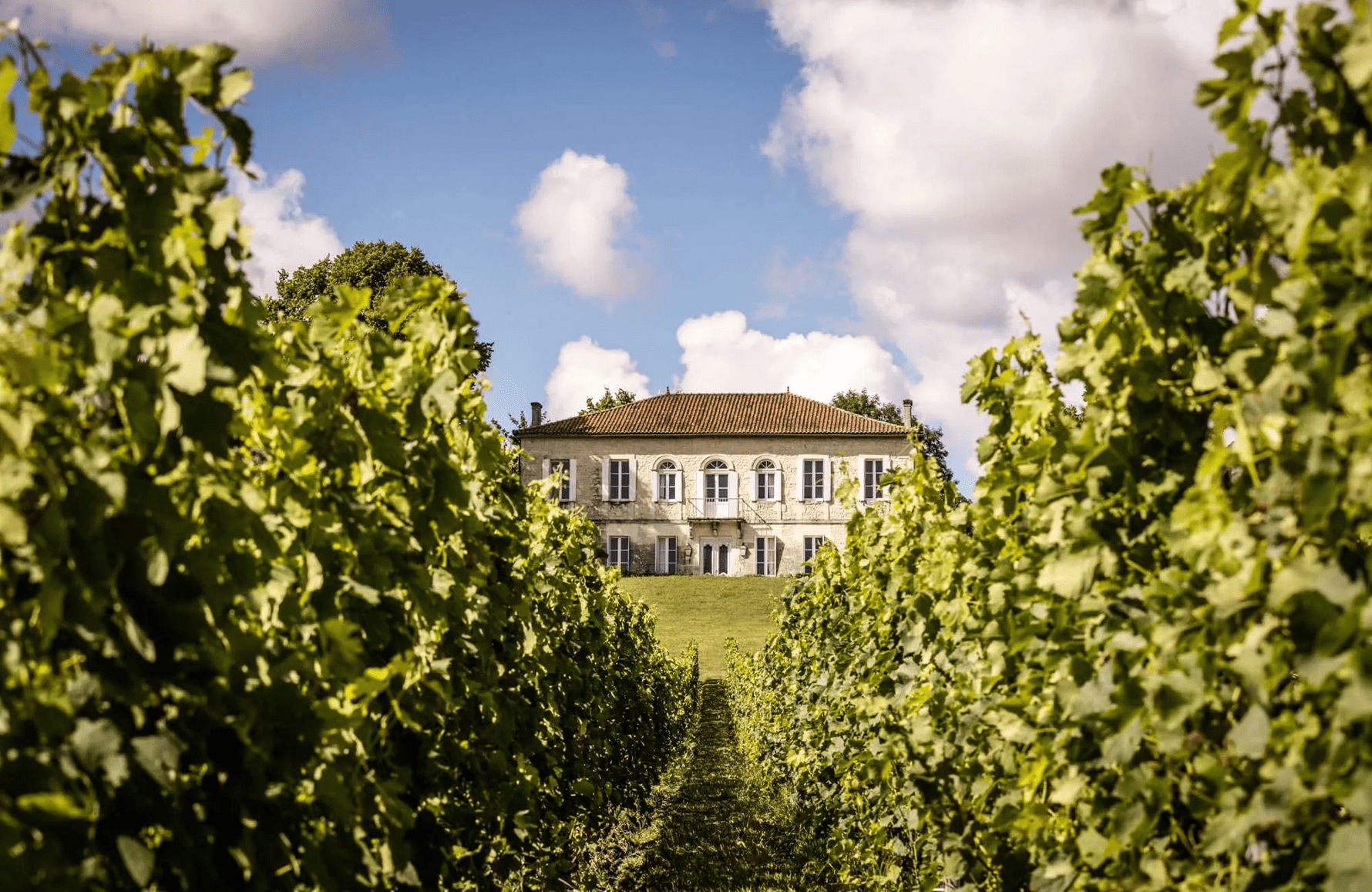 Weine Schloss Reysson