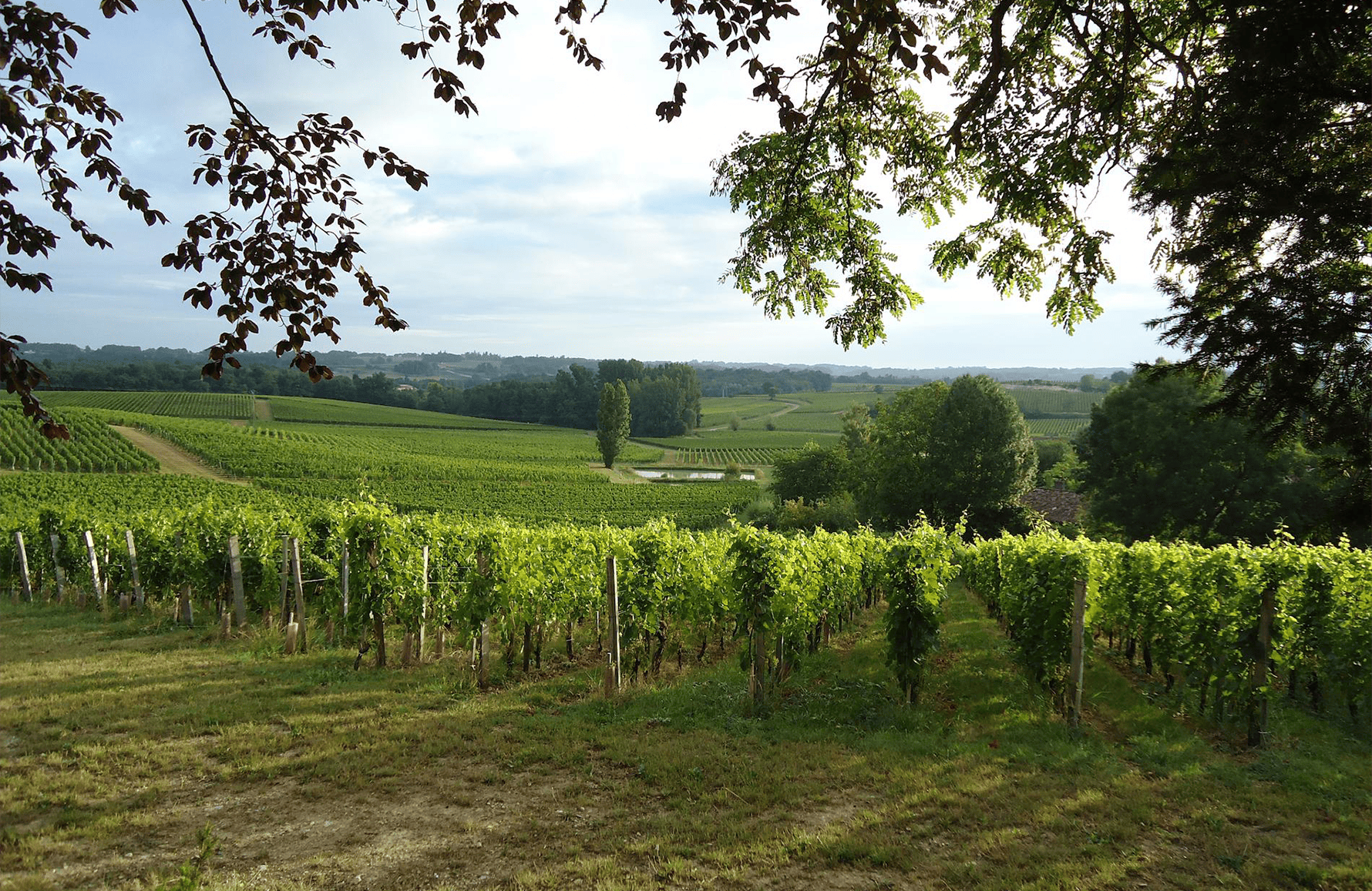 Weine Schloss Valandraud