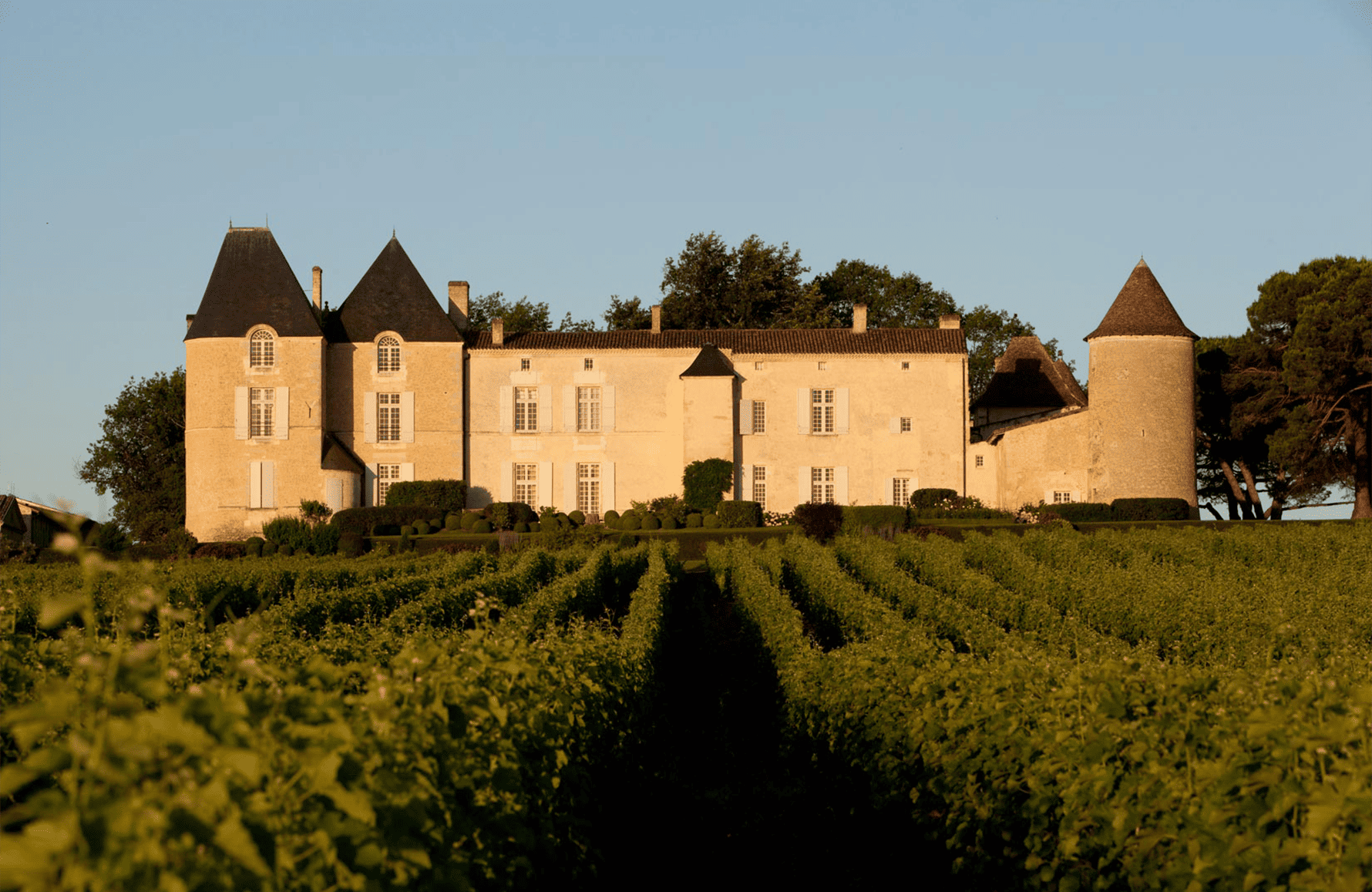 Weine Château d'Yquem