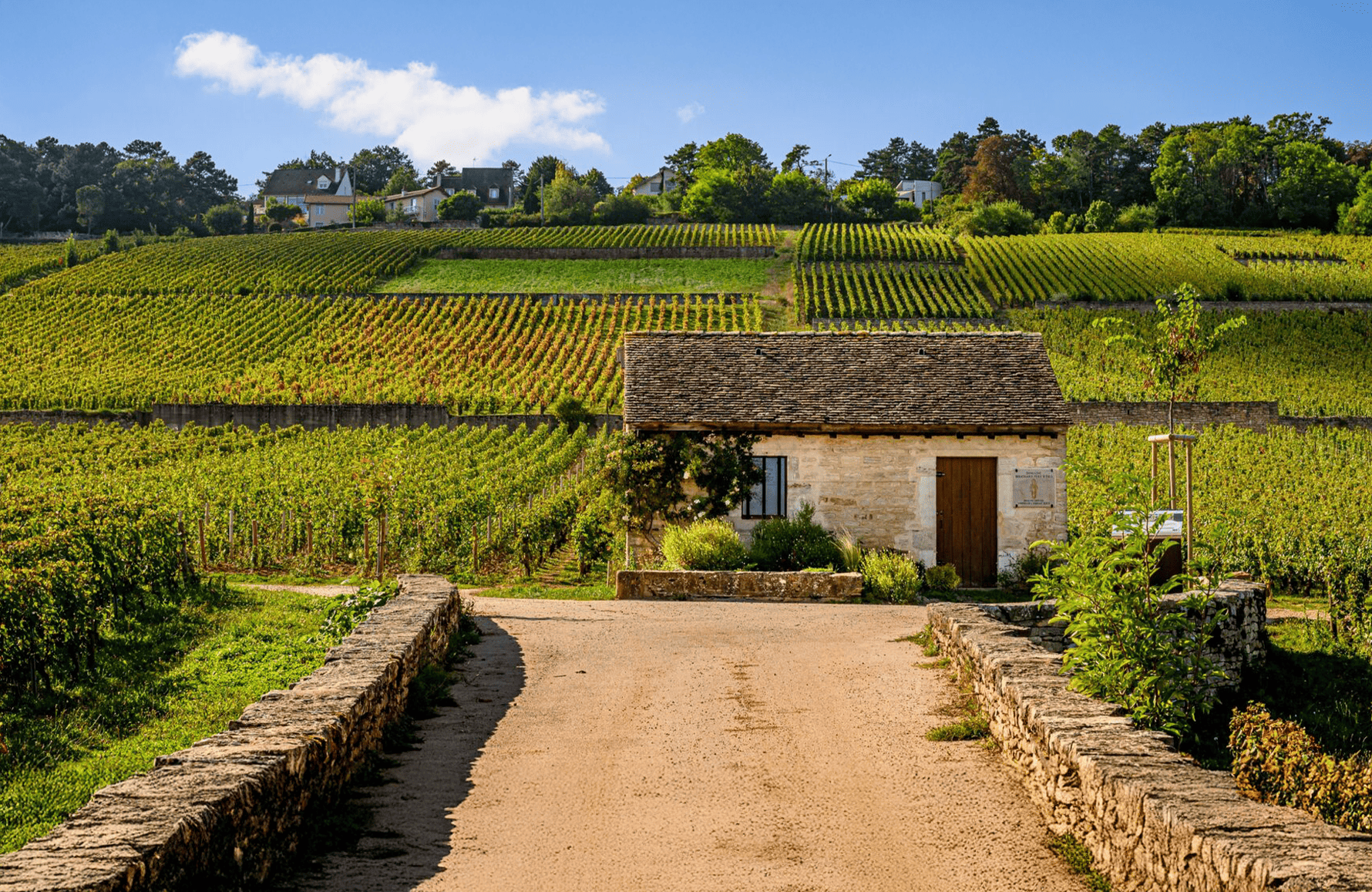 Weine Bouchard Vater-Sohn-Anwesen