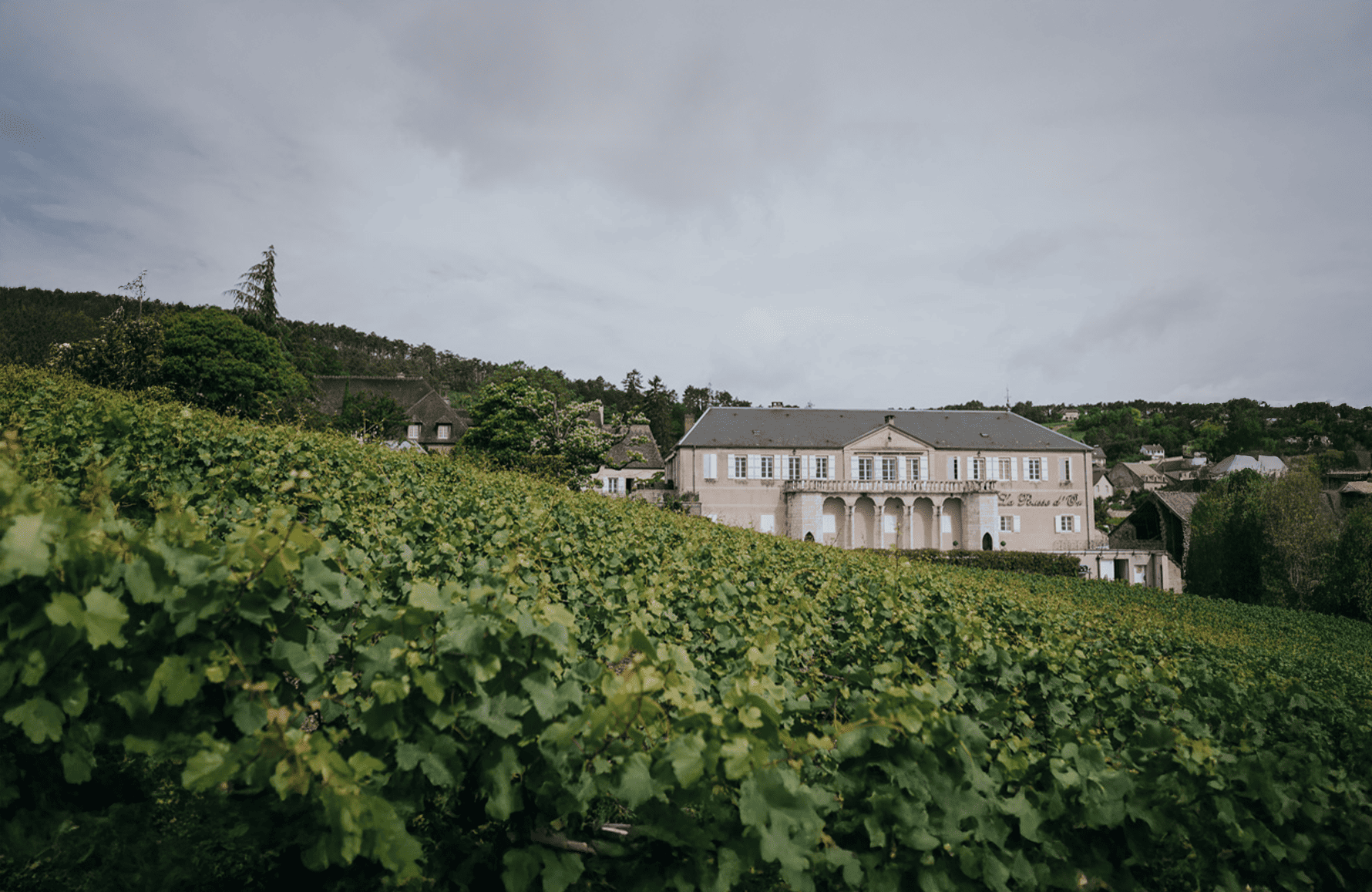 Weine Weingut La Pousse d'Or