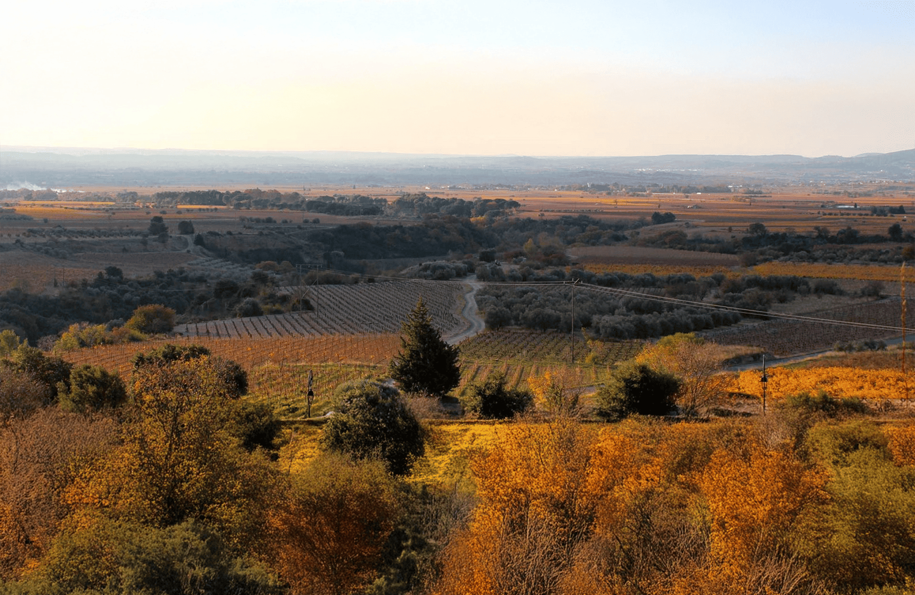 Weine O Reserve Estate