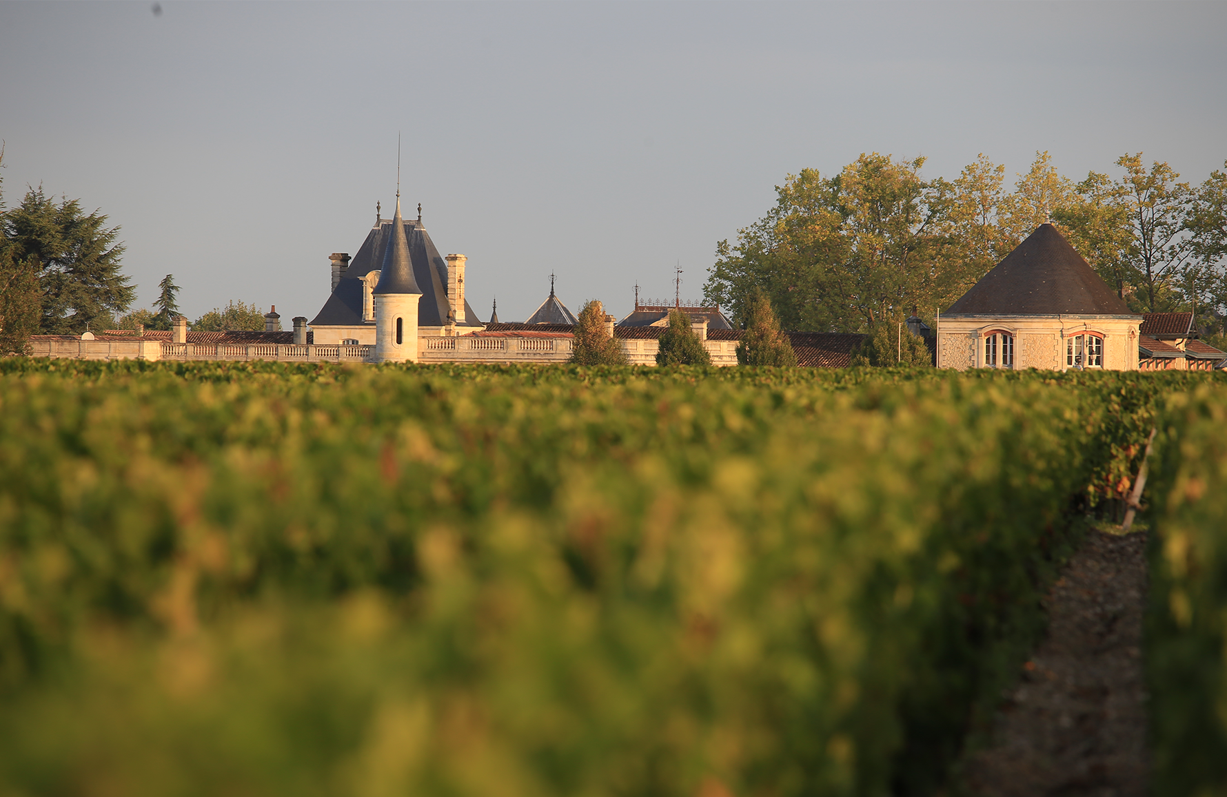 Weine Schloss Durfort-Vivens