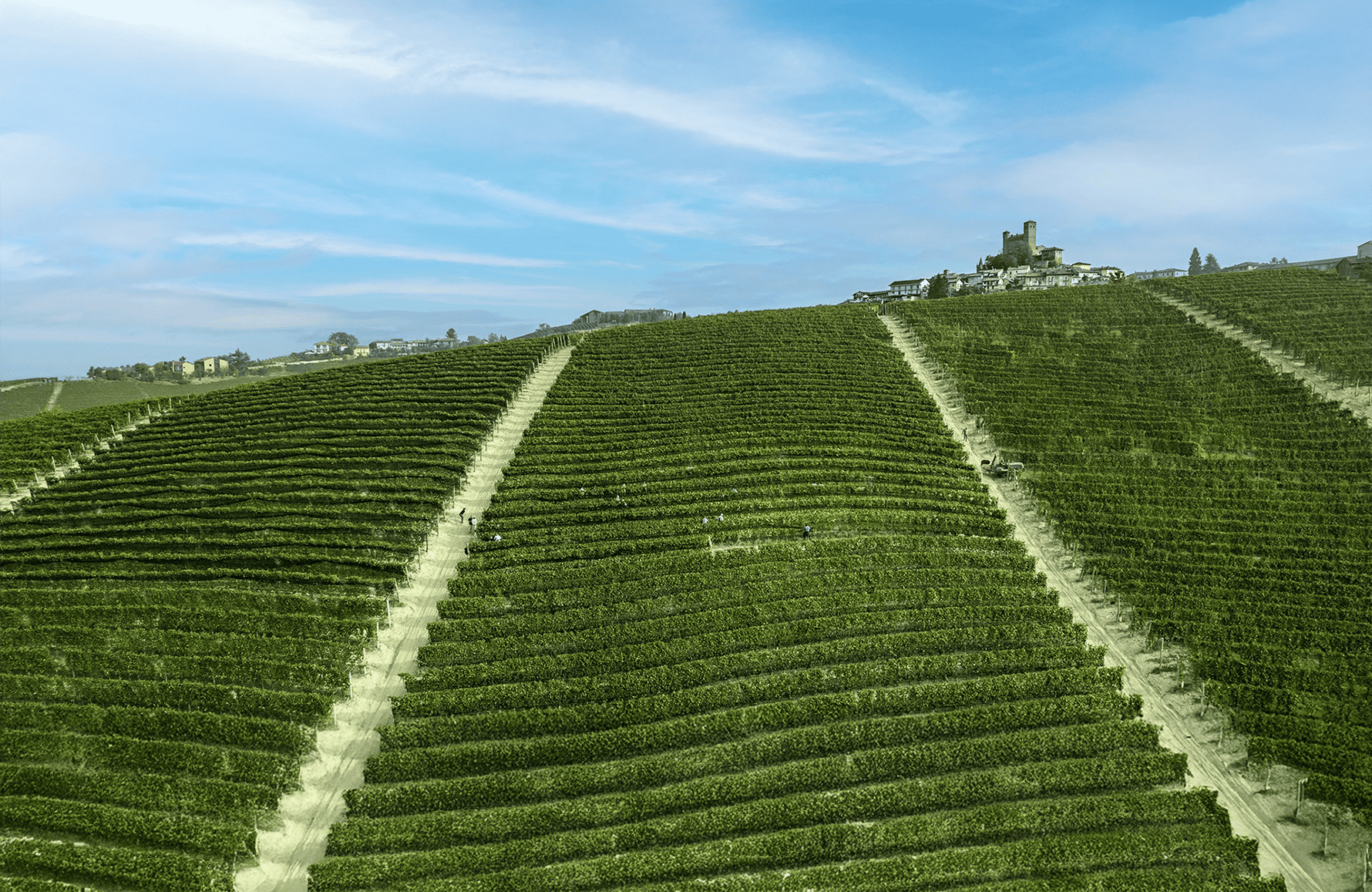 Weine Giovanni Rosso - Italien