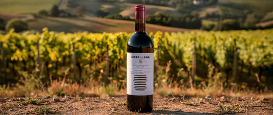 Grands Vins Espagnols par la Place de Bordeaux