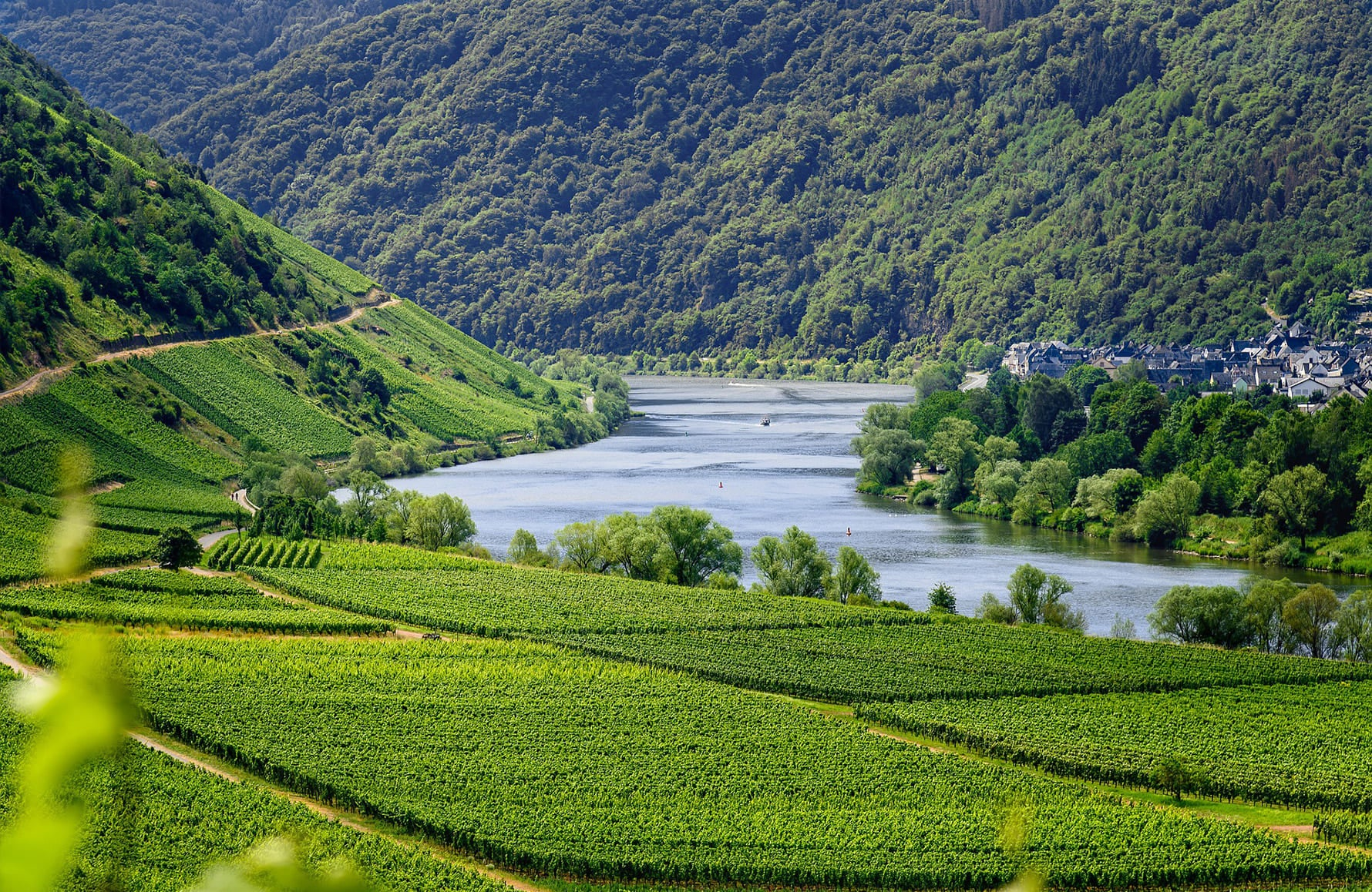 Domaine des Terres Dorées