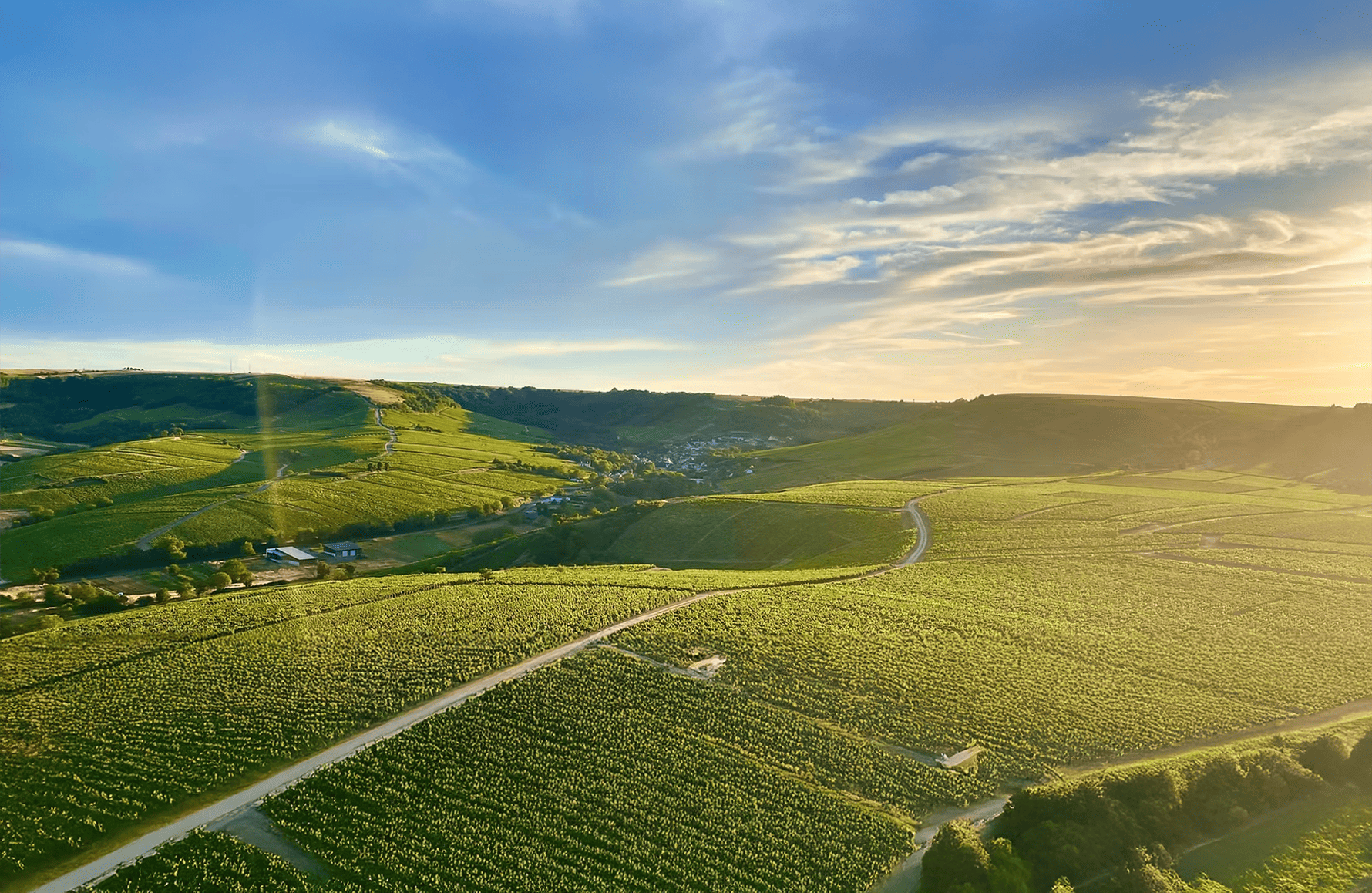 Domaine Vincent Delaporte et Fils