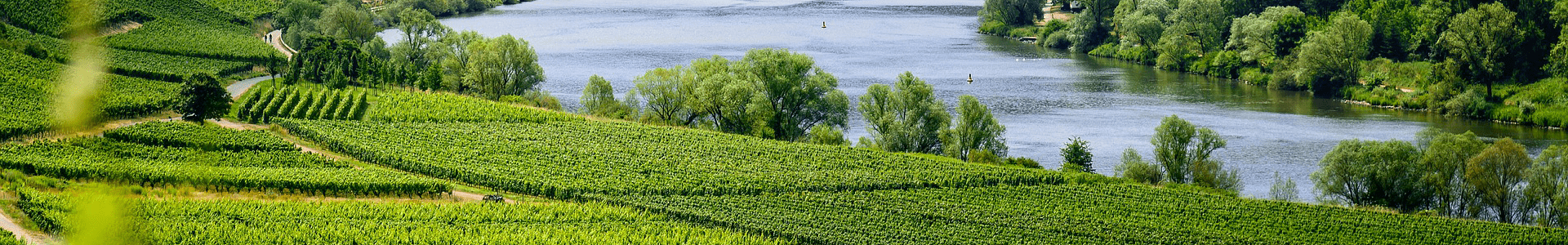 Clos Marfisi
