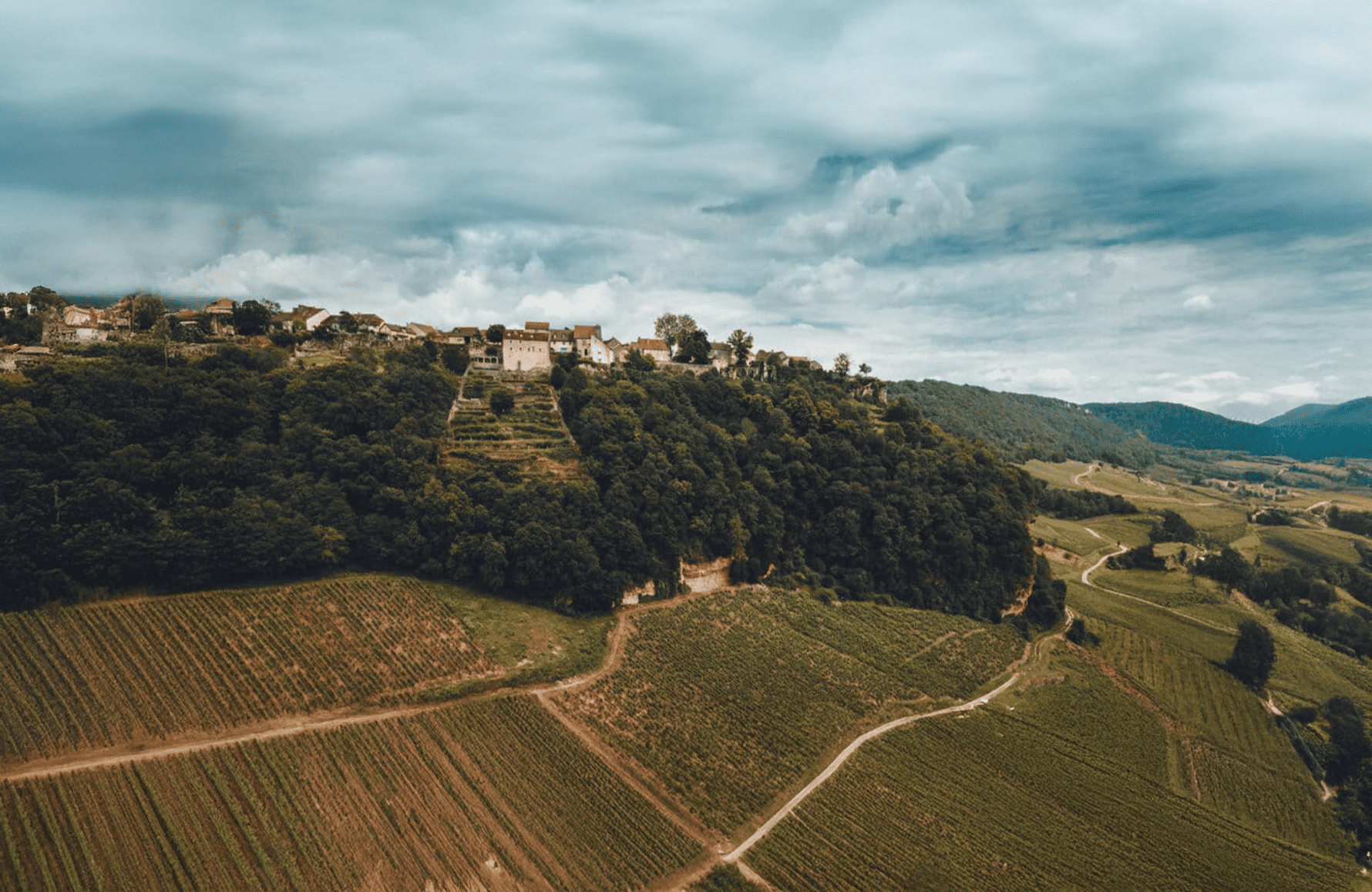 Domaine Berthet-Bondet