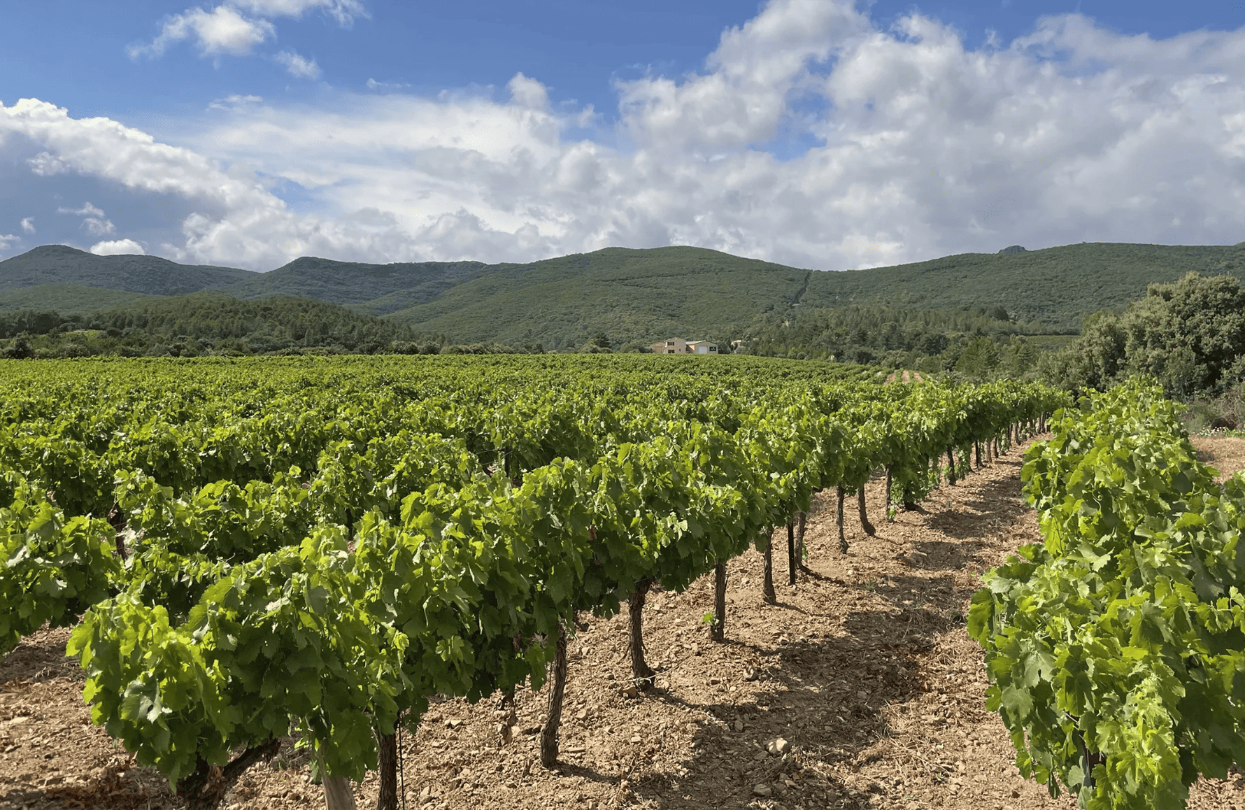 Domaine de L'Orchis Pourpre