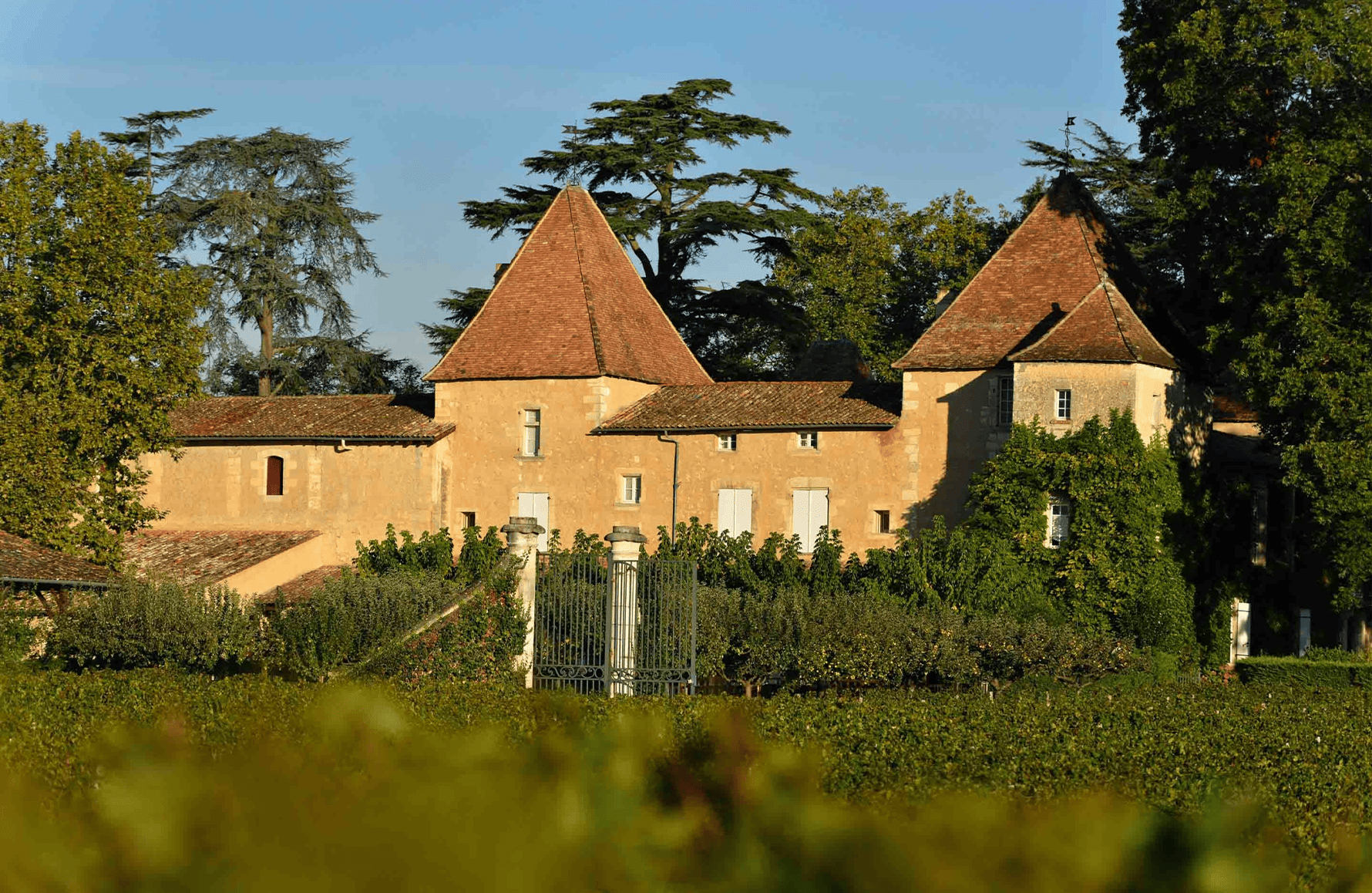 Château Carbonnieux