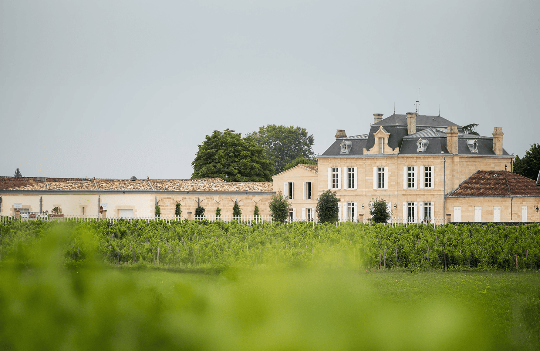 Château Nénin