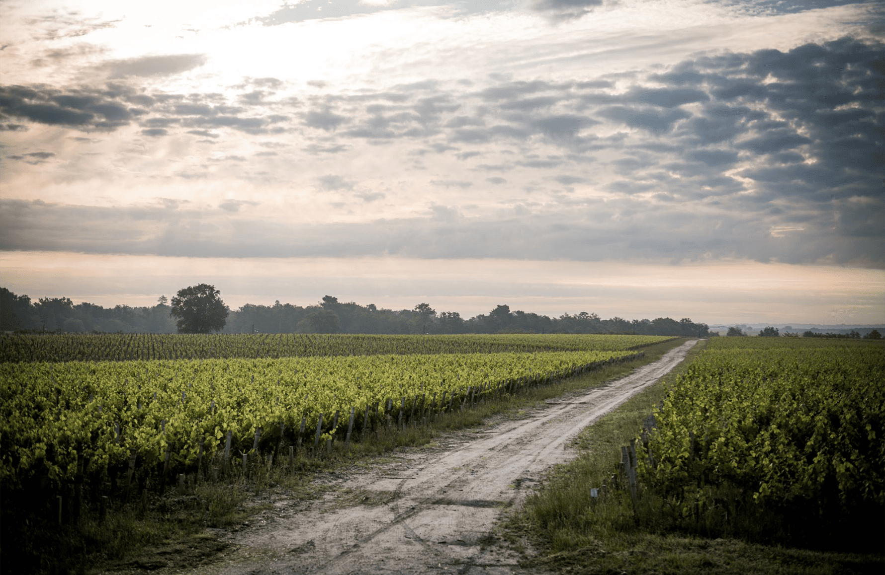 Château de Camensac