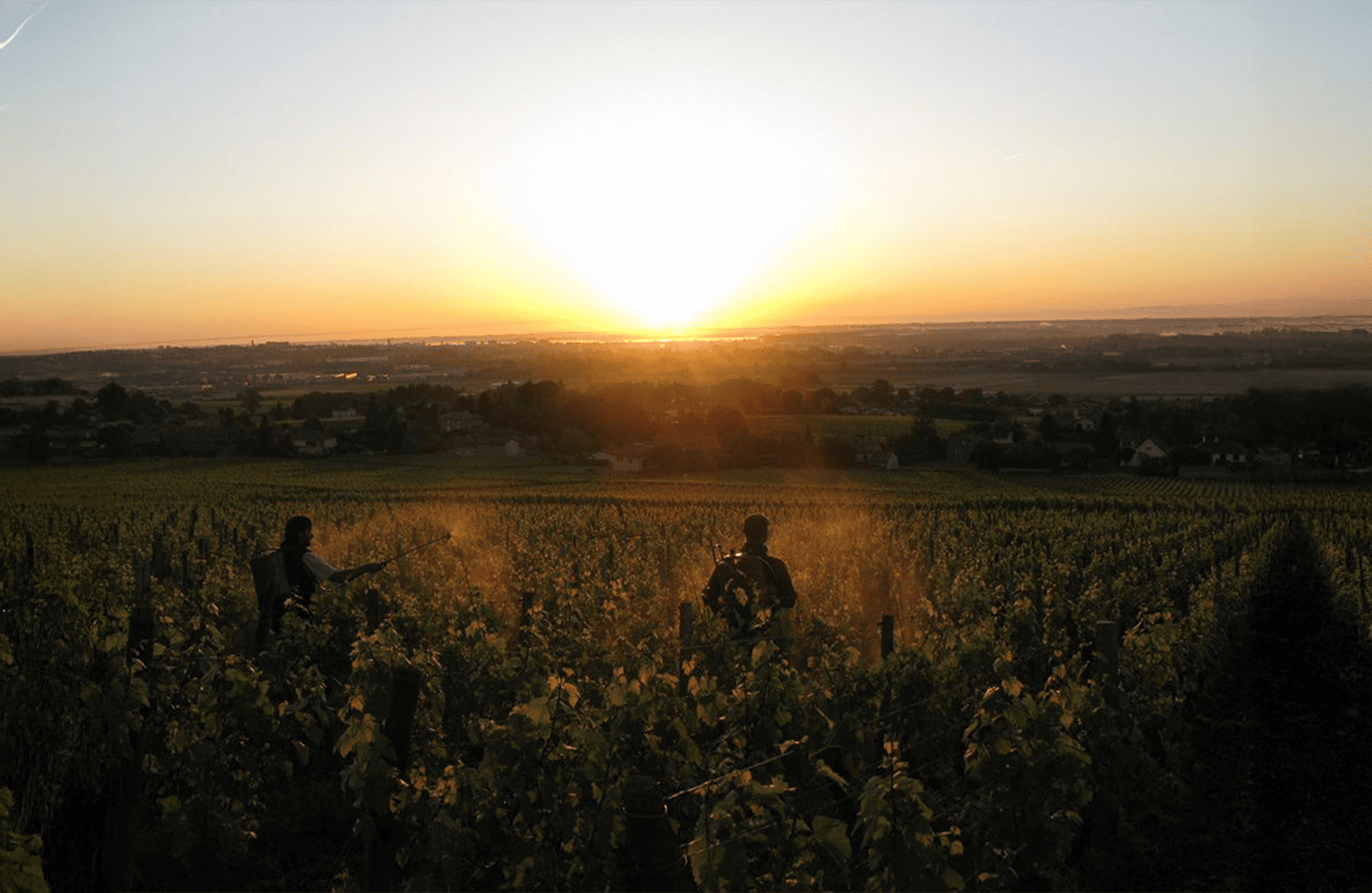 Domaine La Soufrandière