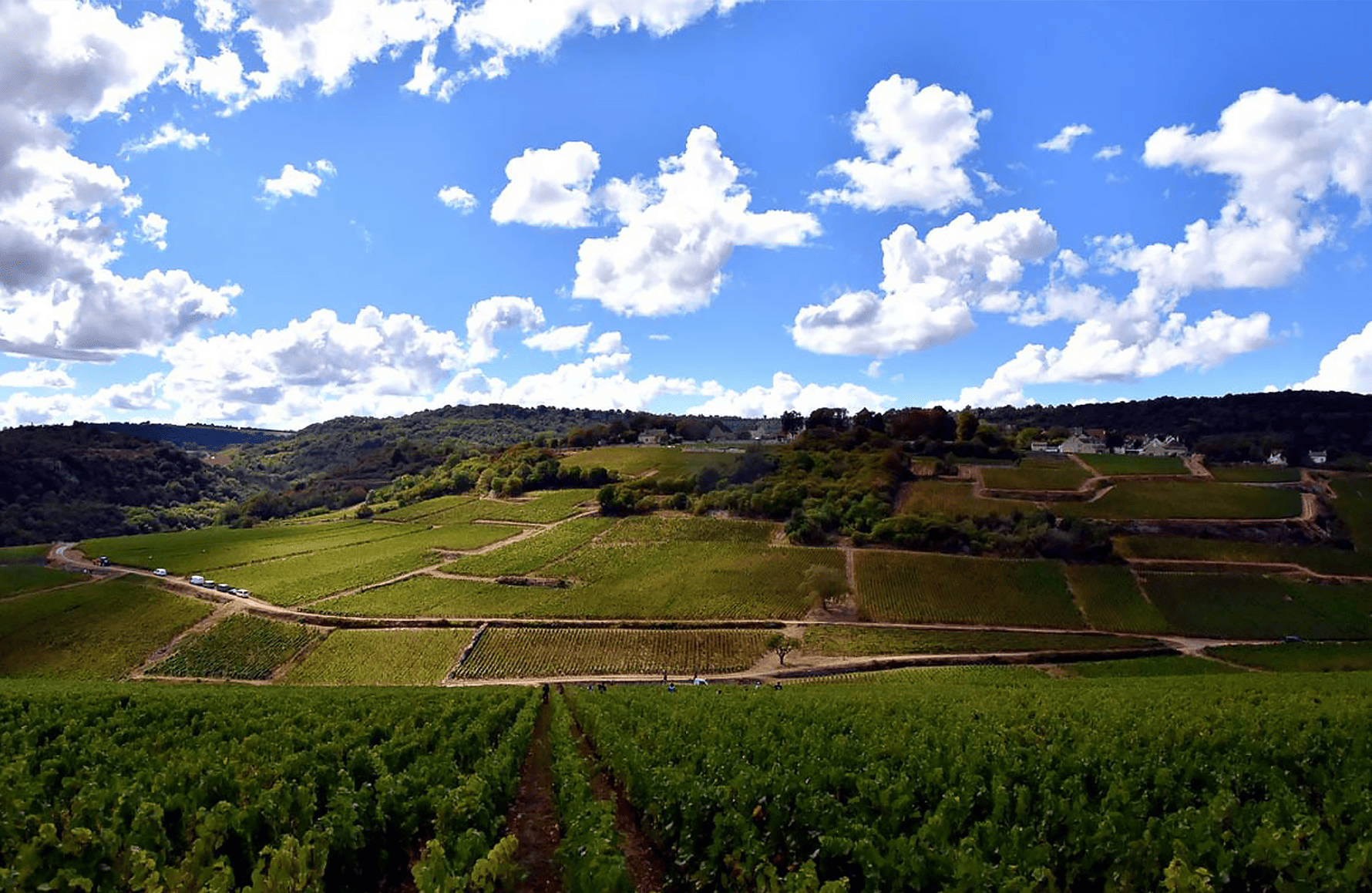 Domaine Henri & Gilles Buisson