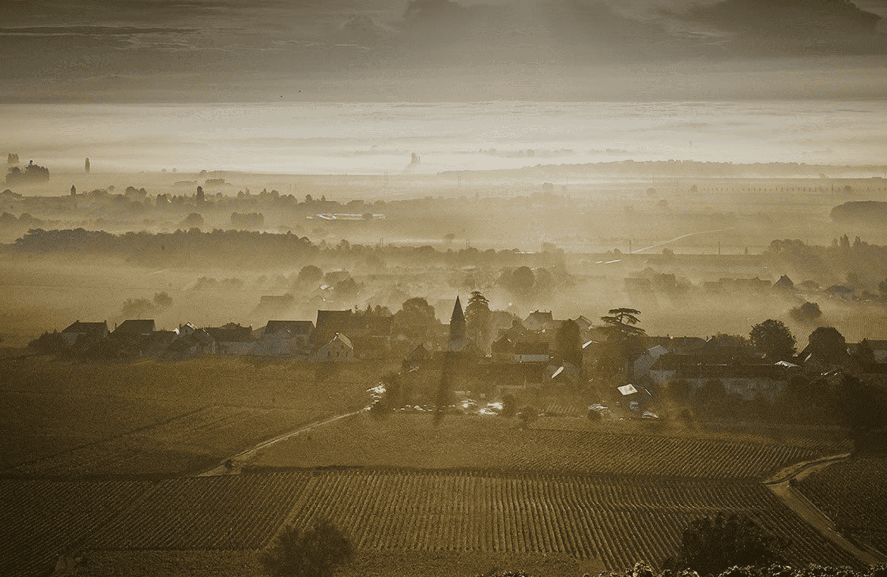 Domaine Méo-Camuzet