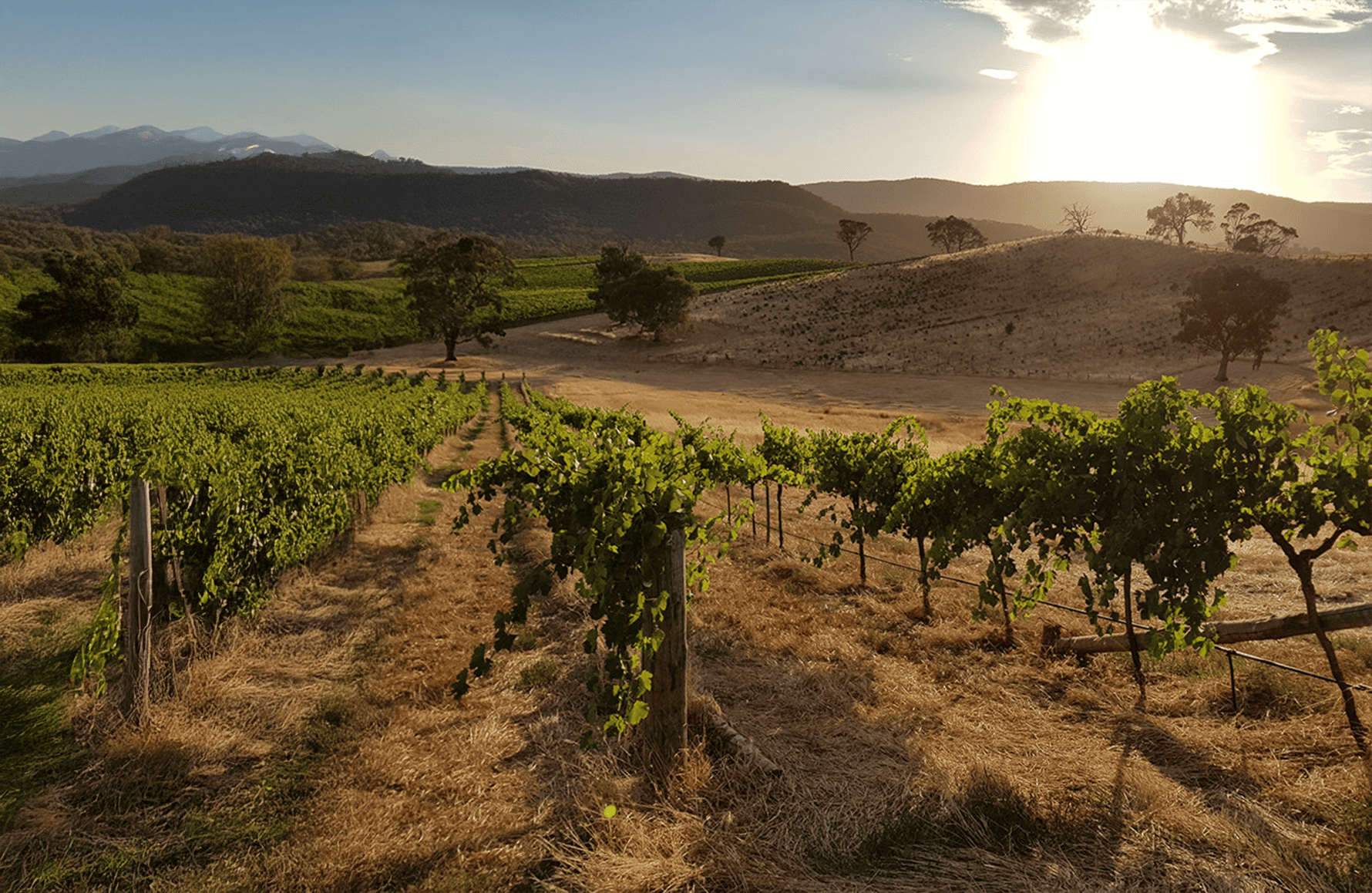 Dos Lusiadas - Portugal