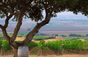 Hahn Family Wines - Vereinigte Staaten