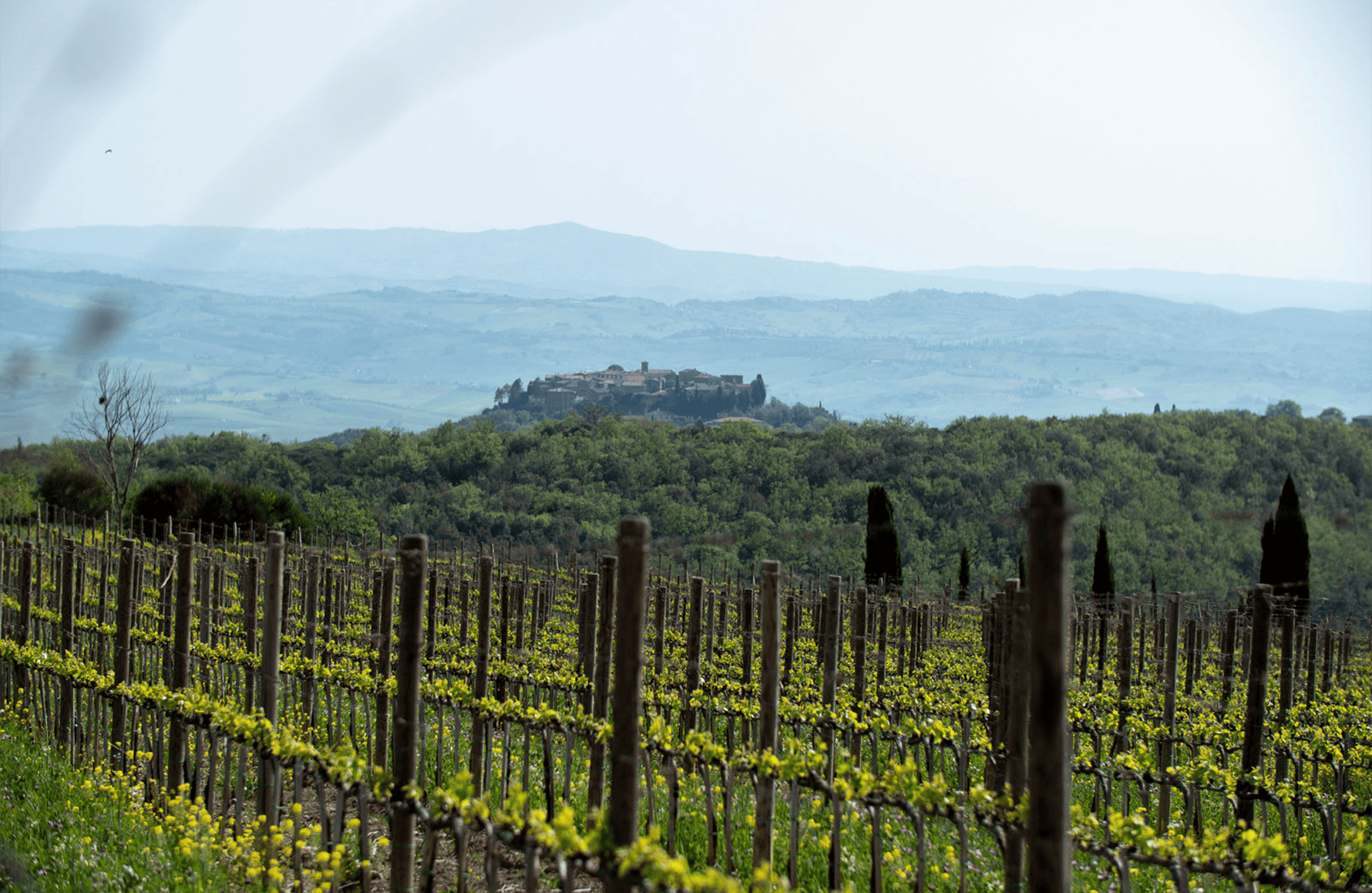 Poggio Antico - Italie