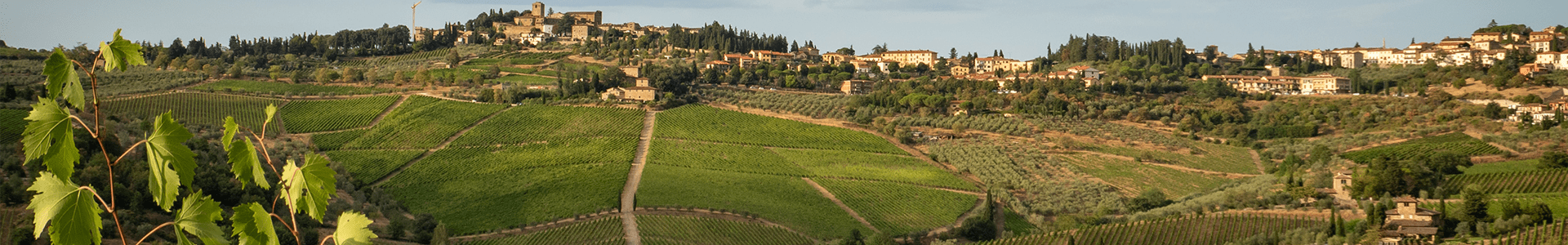 Paolo Scavino - Italie