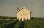 Veuve Clicquot Champagne