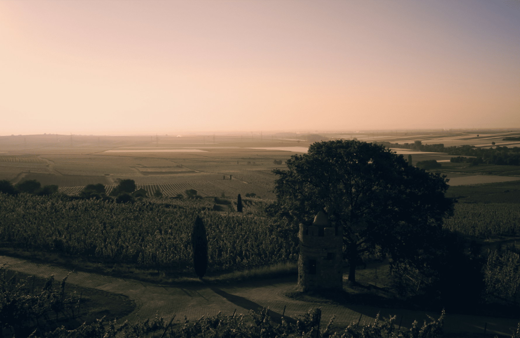 Weingut Wittmann Allemagne