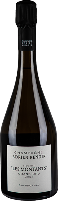 Champagne Adrien Renoir - Grand Cru Verzy "Les Montants" 2019 - Champagne Grand Cru