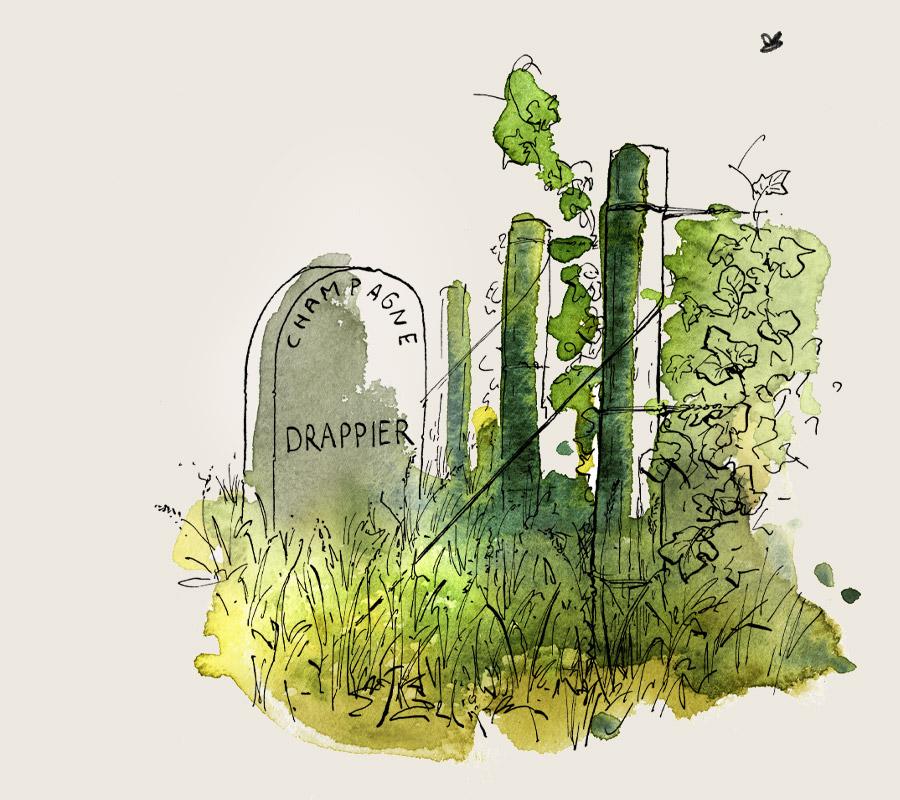 l’histoire du Champagne Drappier