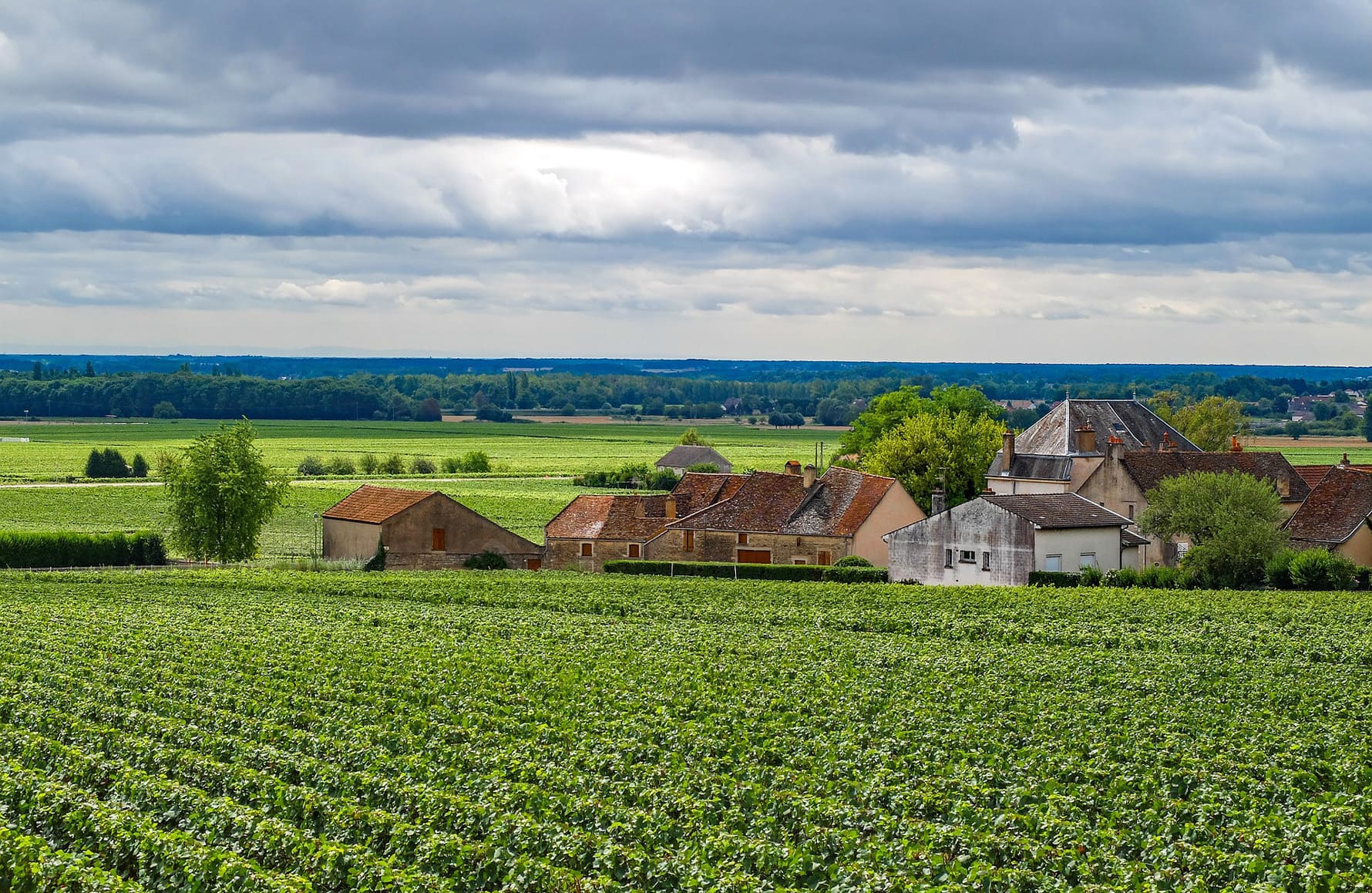 Vins Domaine Faiveley
