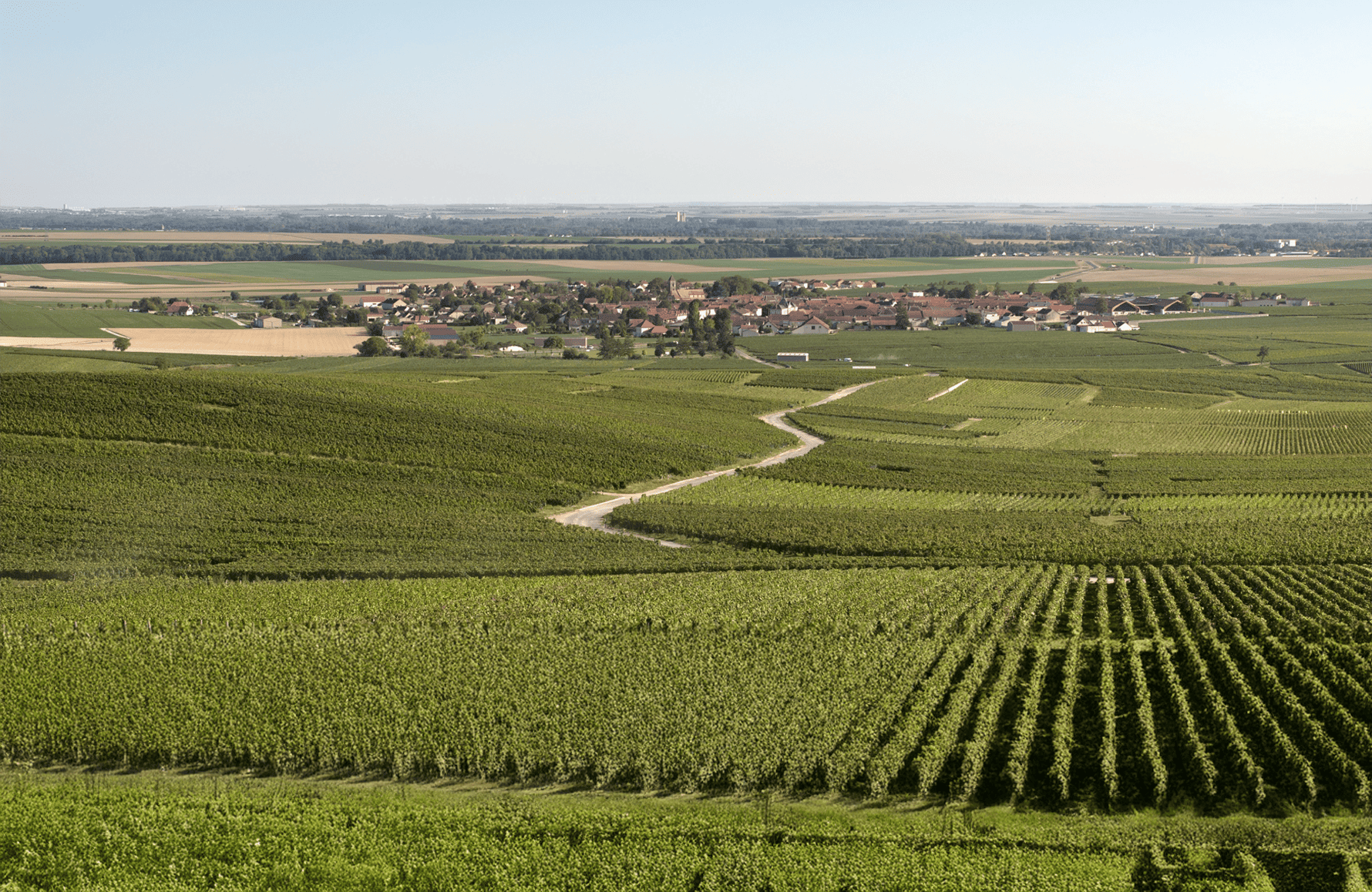 Vins Champagne Charles Heidsieck