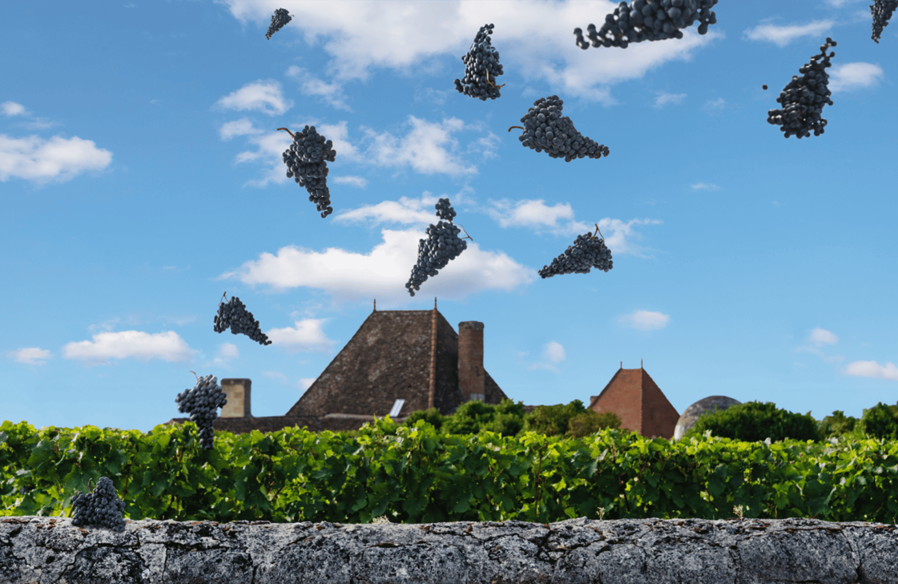 Weine Château Bélair-Monange