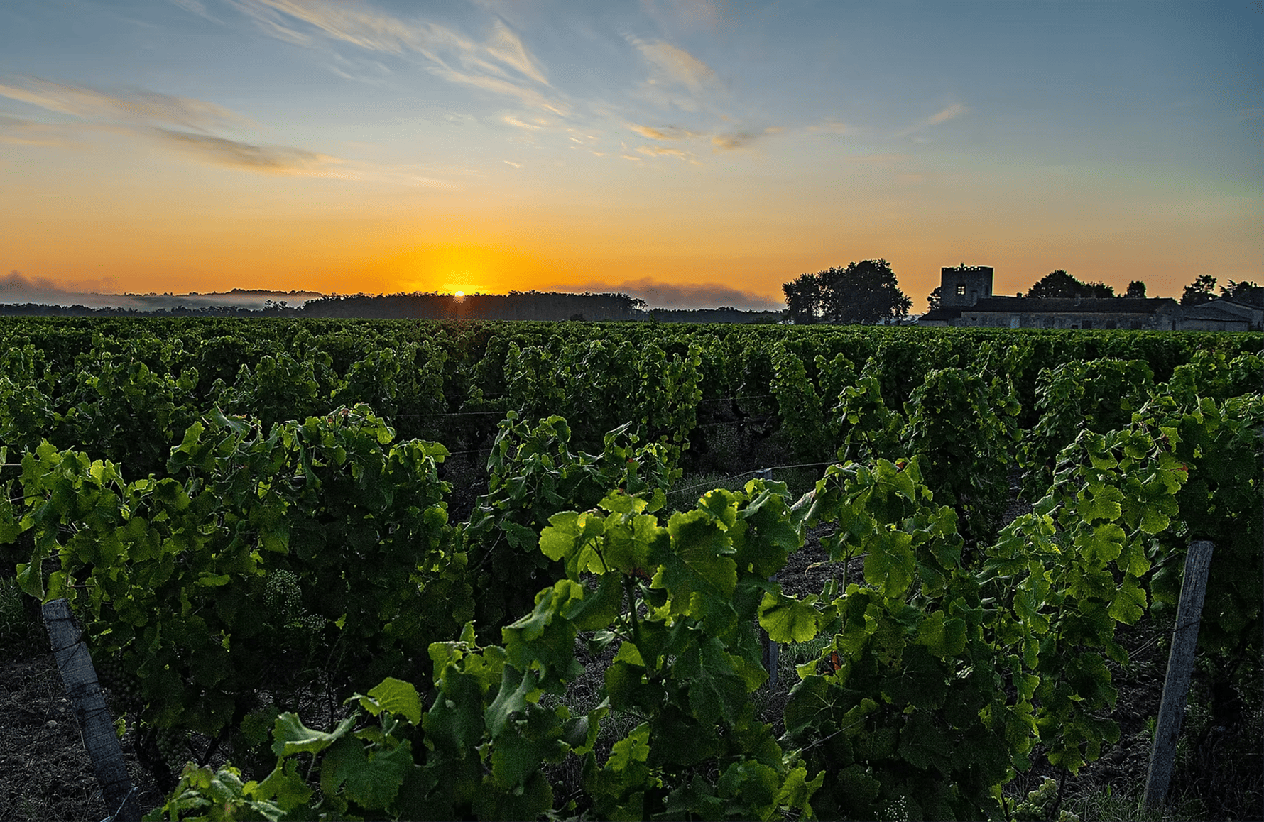 Weine Schloss Chantegrive