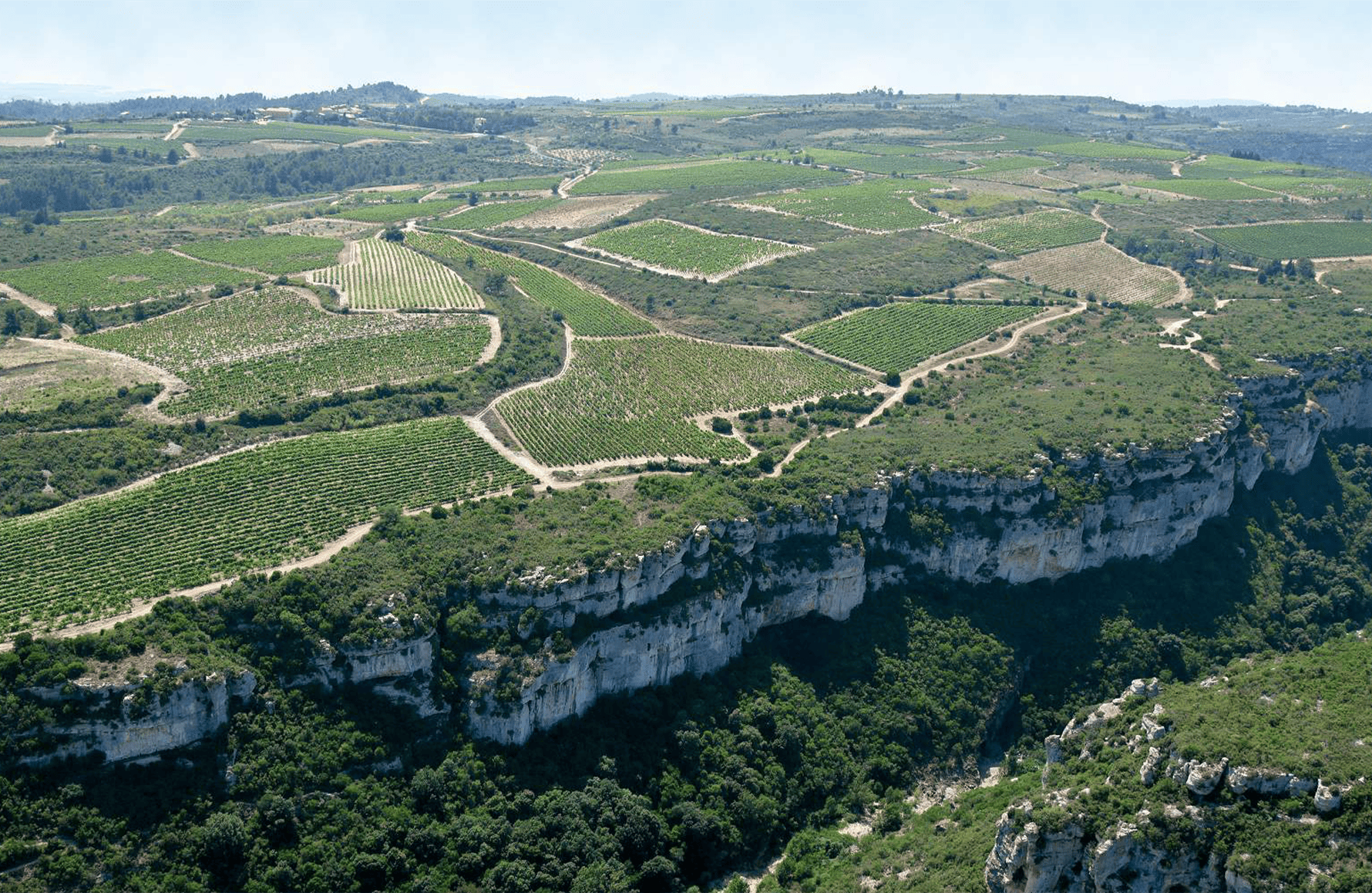 Vins Château Coupe-Roses