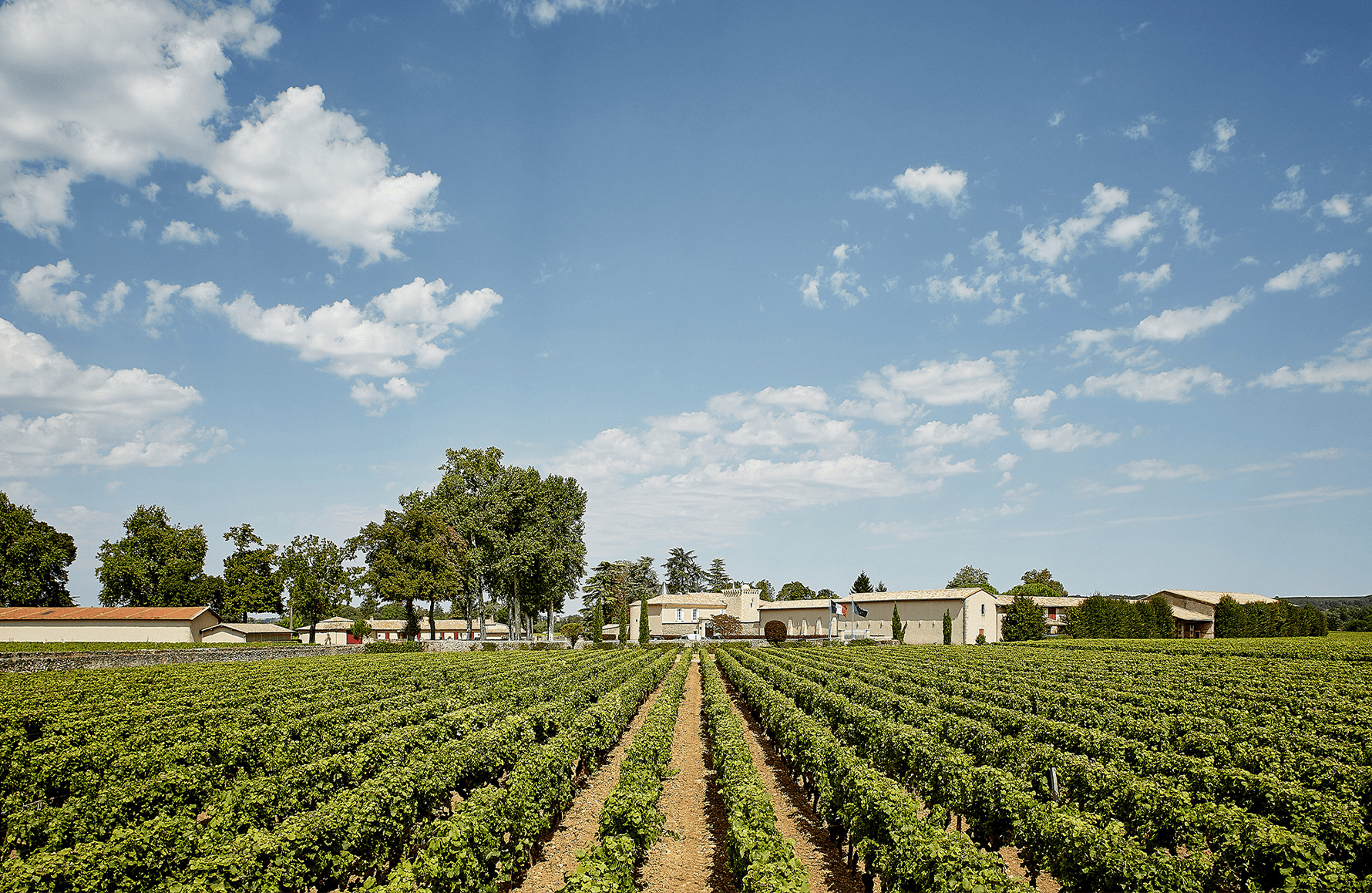 Vins Château Coutet